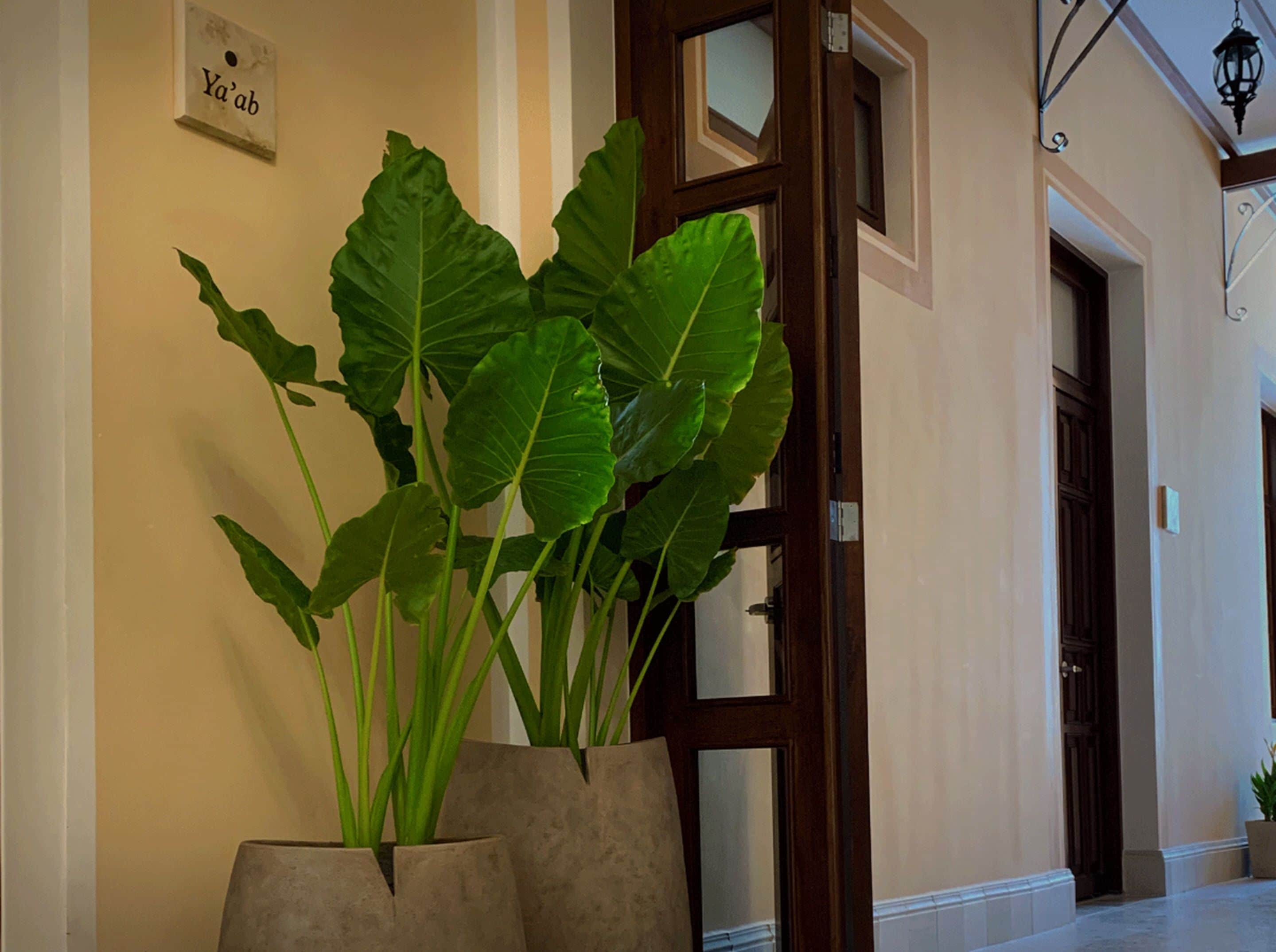 Casa Tavera Casa Tavera