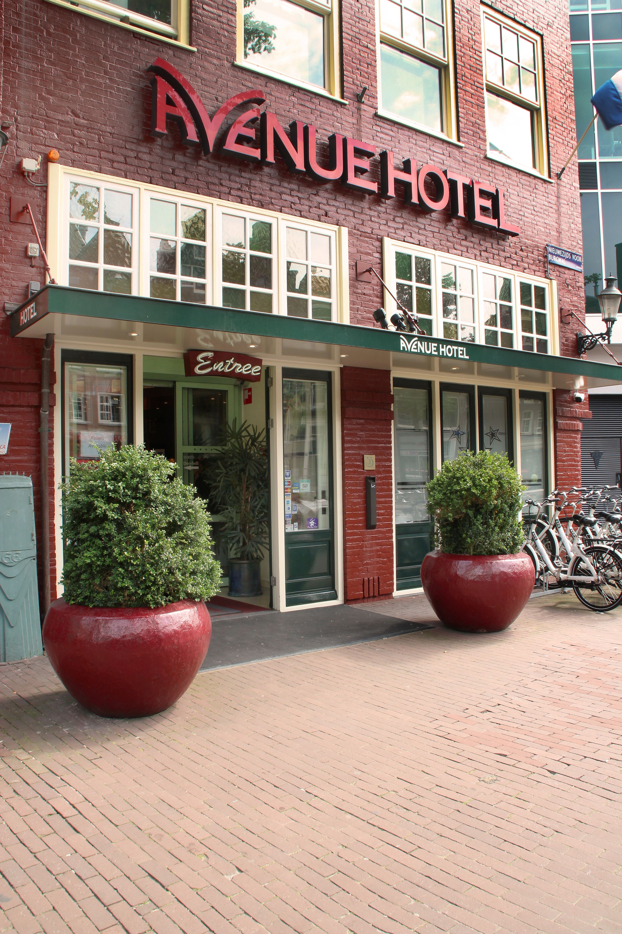 Avenue Hotel Avenue Hotel