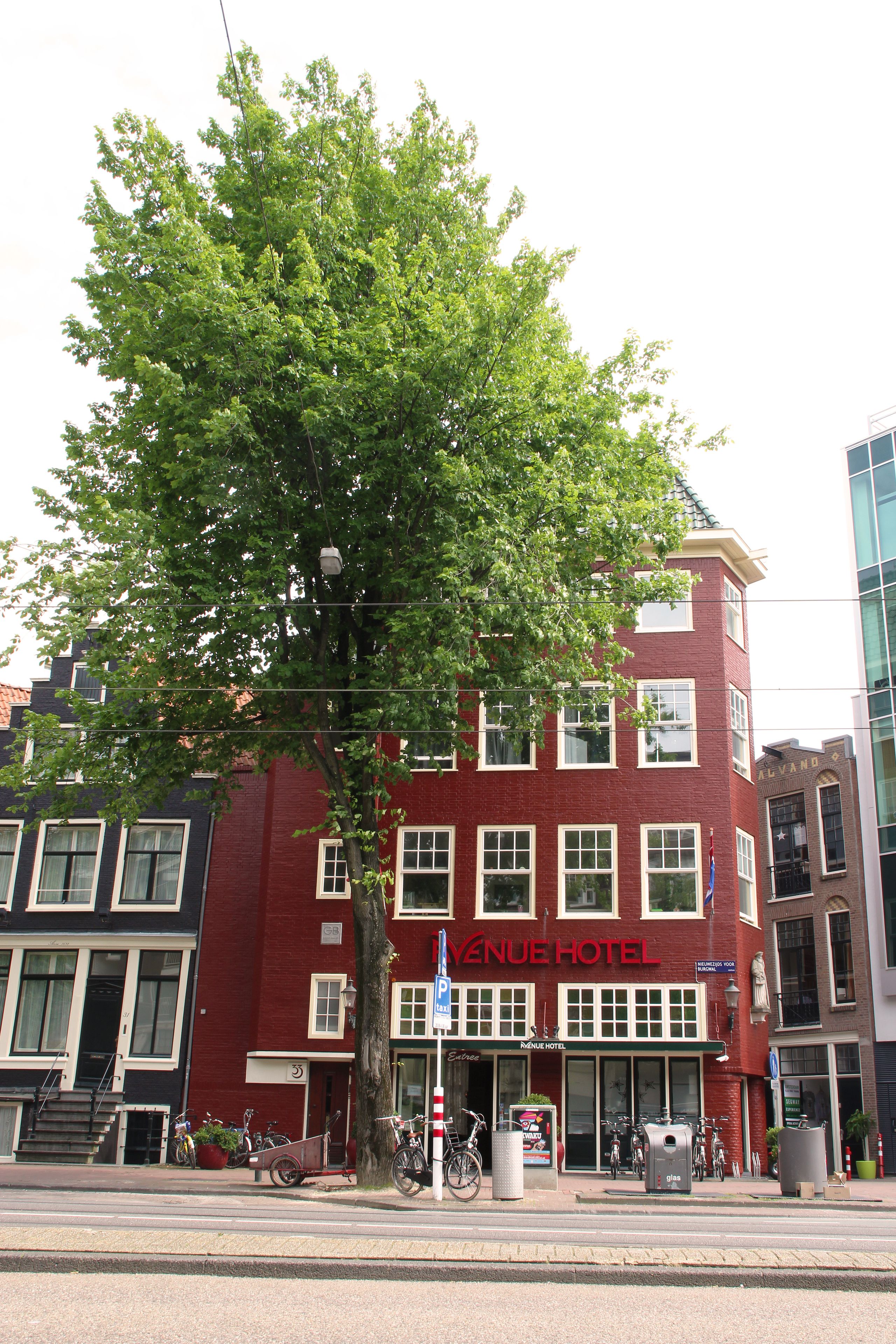 Avenue Hotel Avenue Hotel