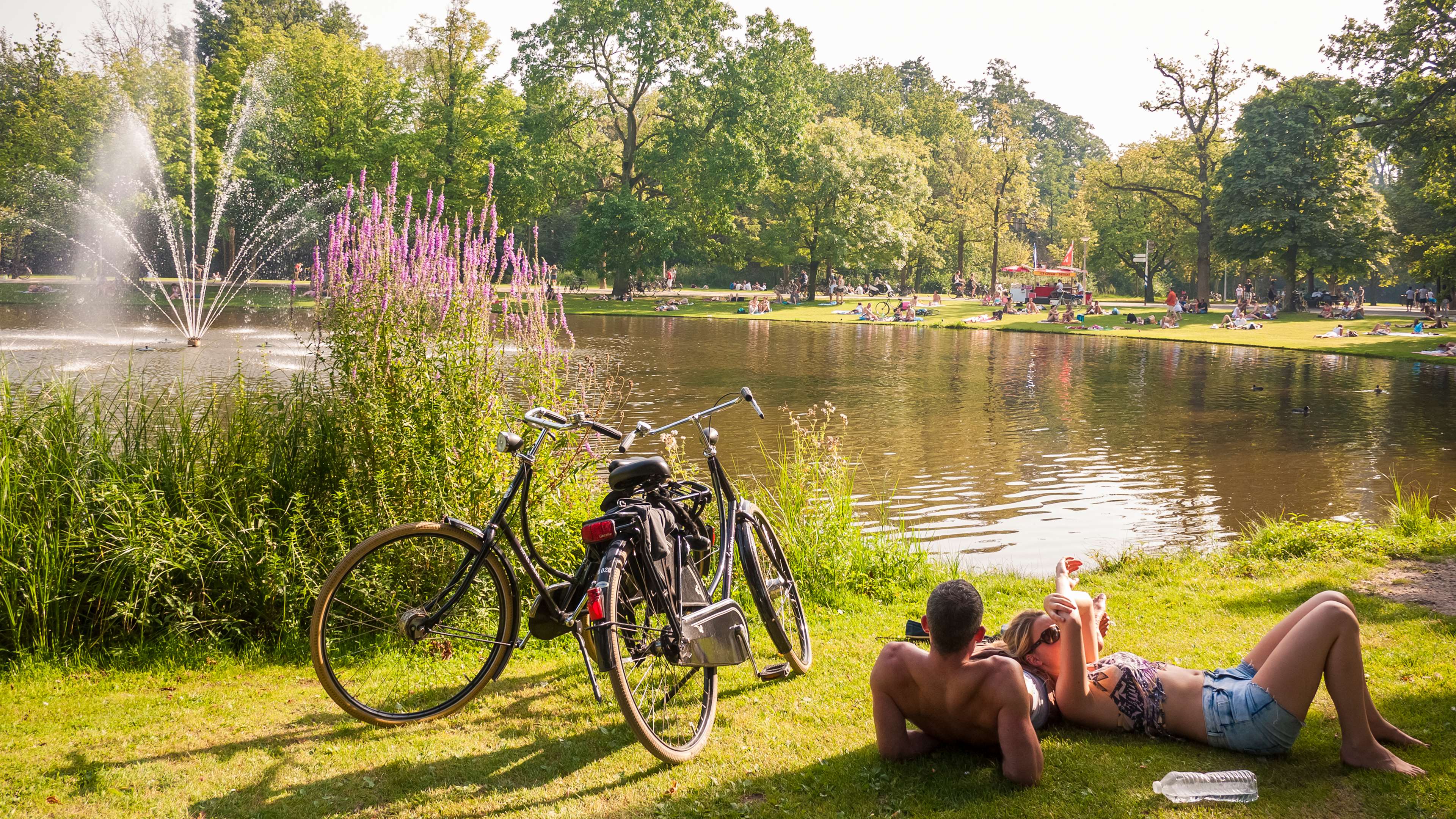 Park Plaza Vondelpark, Amsterdam Park Plaza Vondelpark, Amsterdam