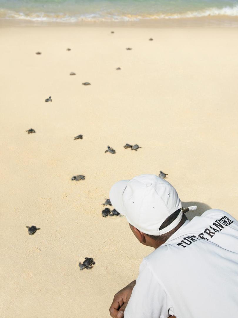 Hilton Muscat Al Bandar