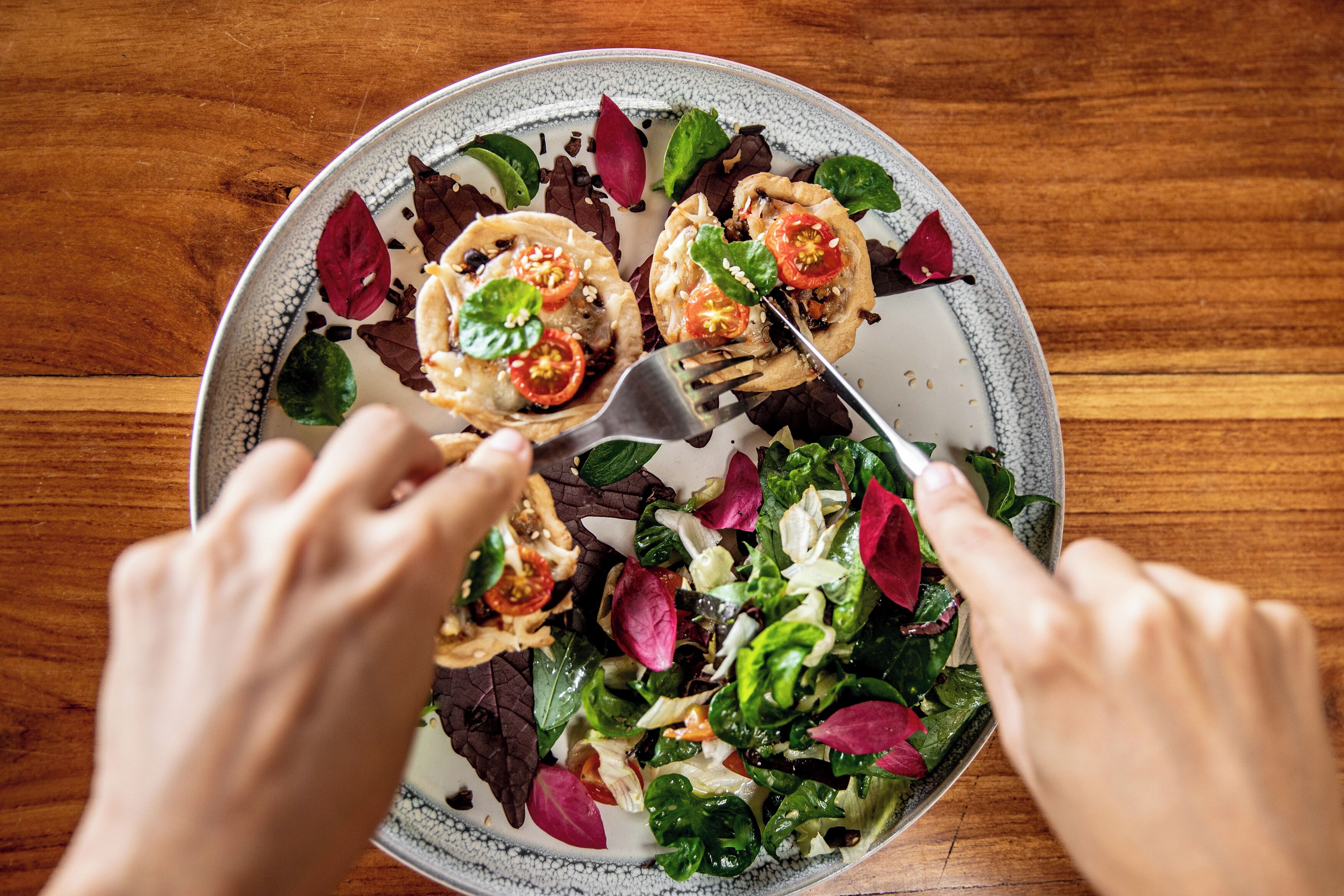 La Loma Jungle Lodge & Chocolate Farm