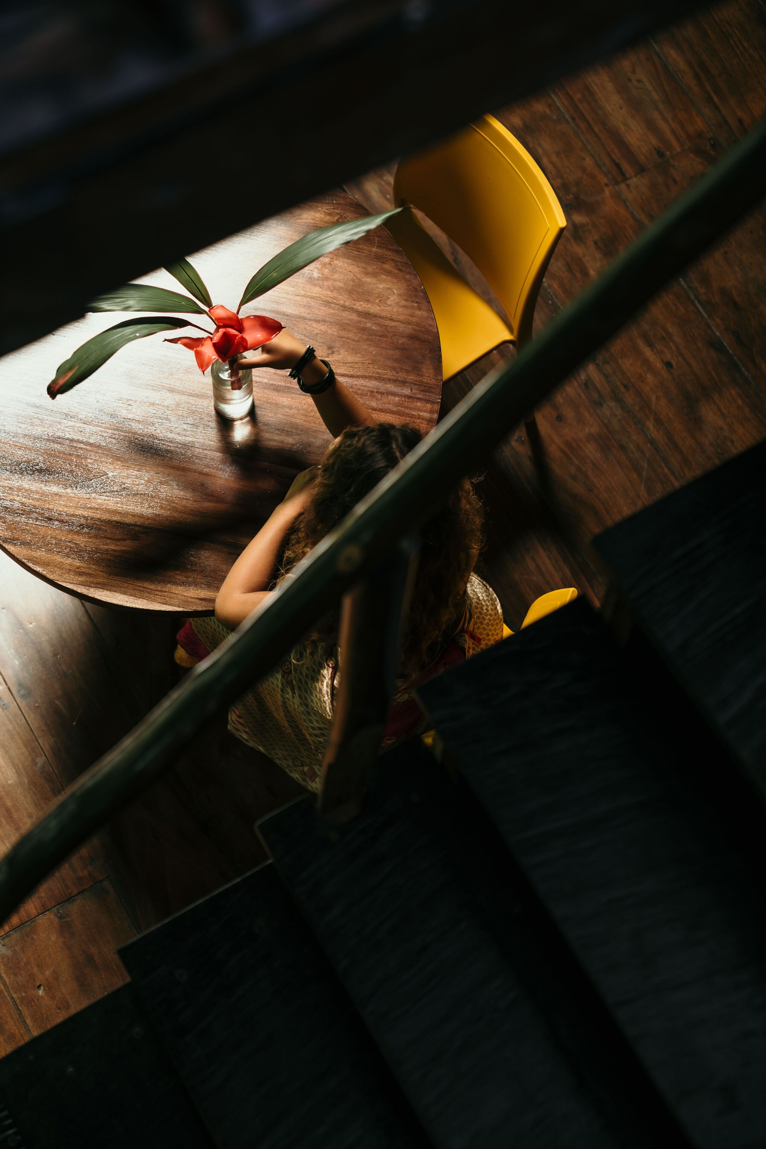 La Loma Jungle Lodge & Chocolate Farm