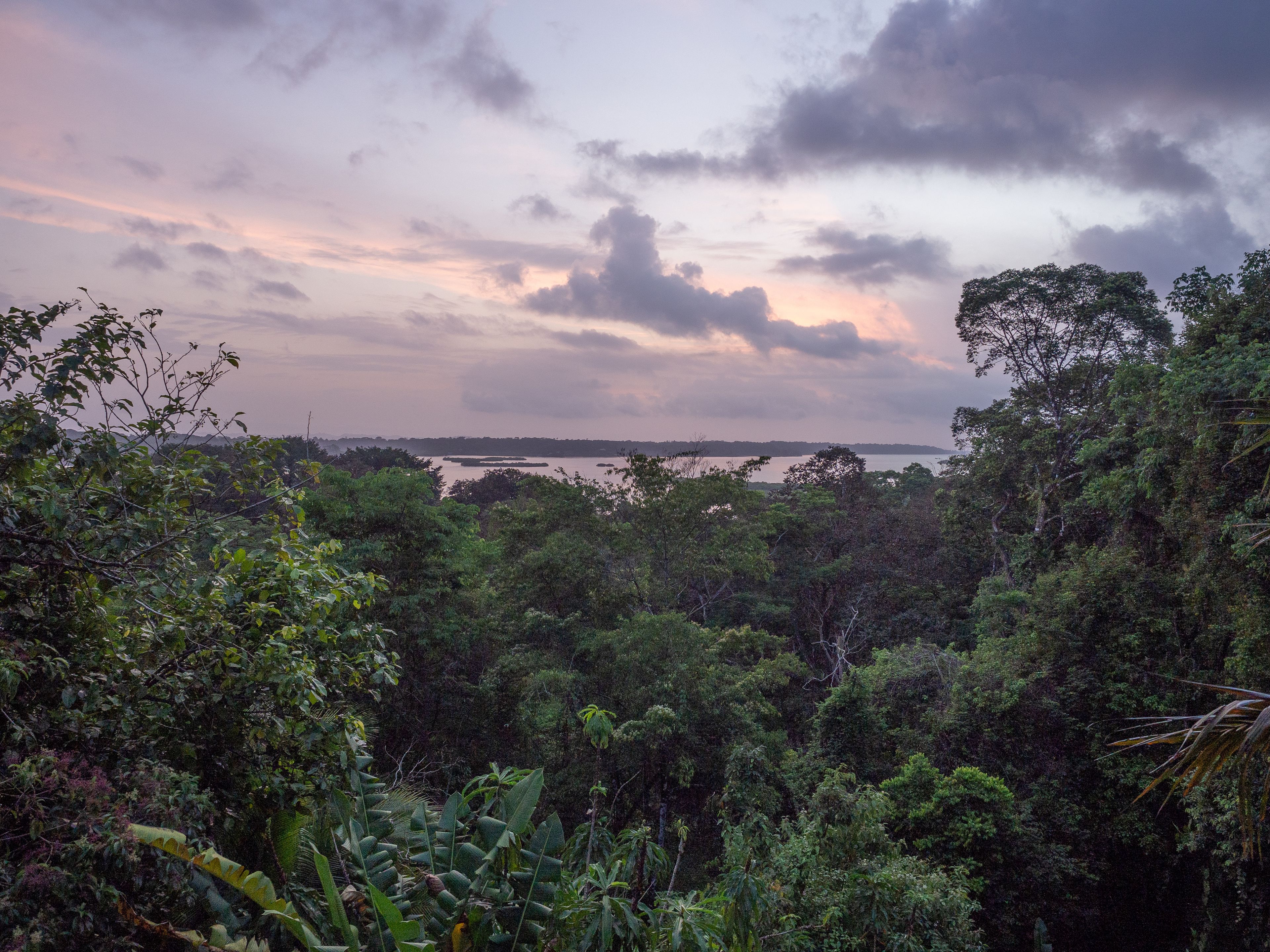 La Loma Jungle Lodge & Chocolate Farm