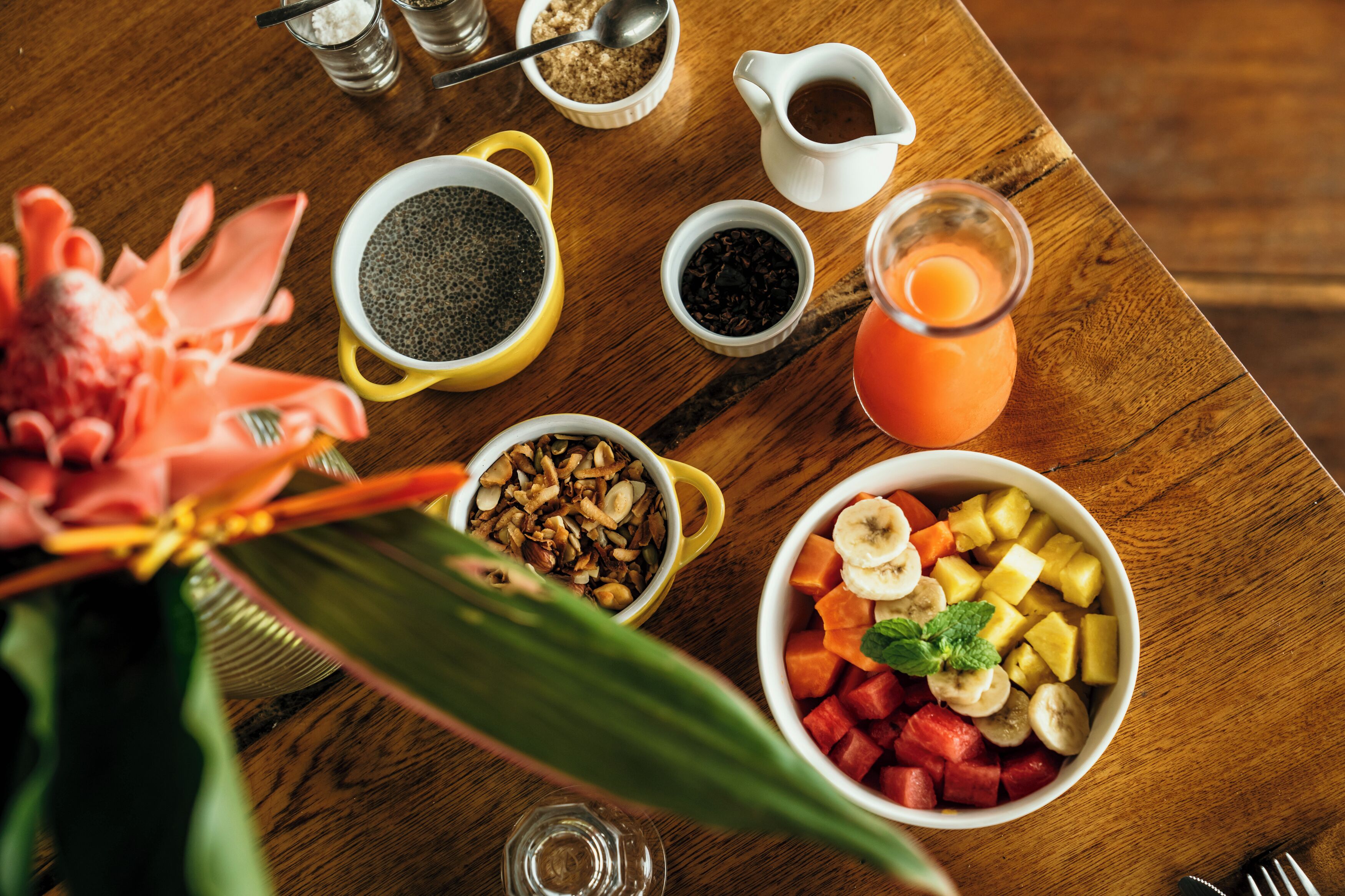 La Loma Jungle Lodge & Chocolate Farm