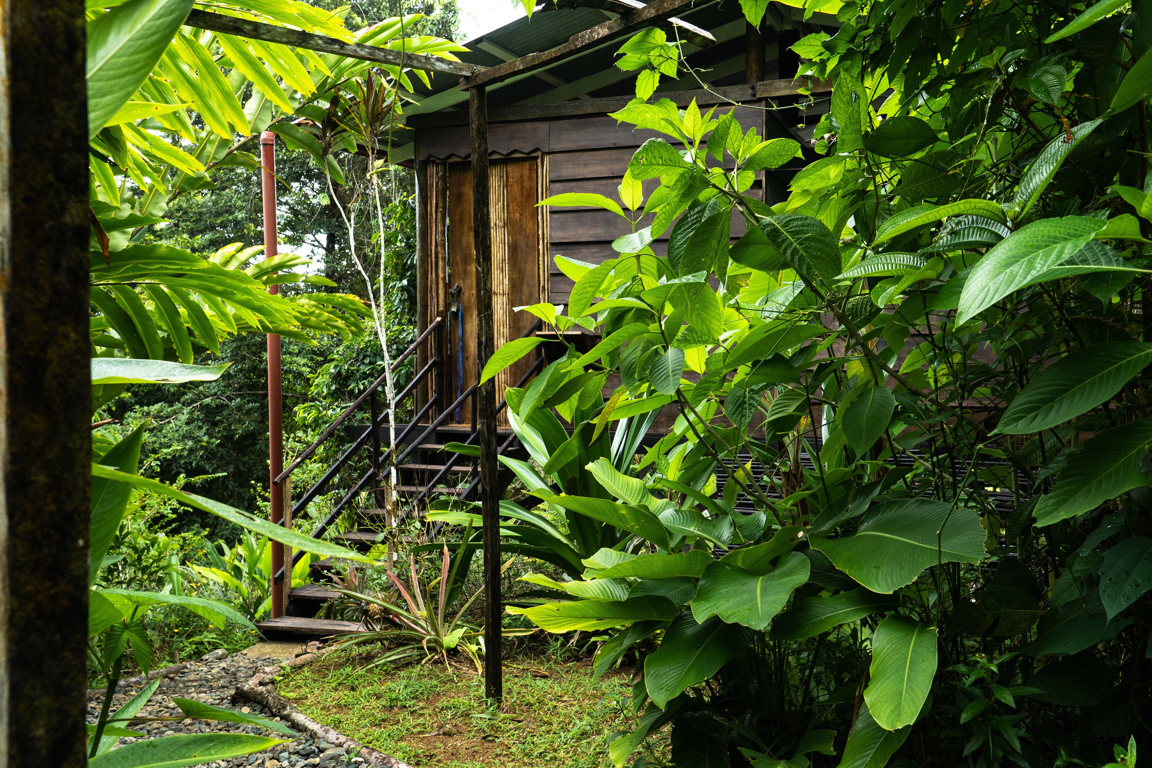 La Loma Jungle Lodge & Chocolate Farm