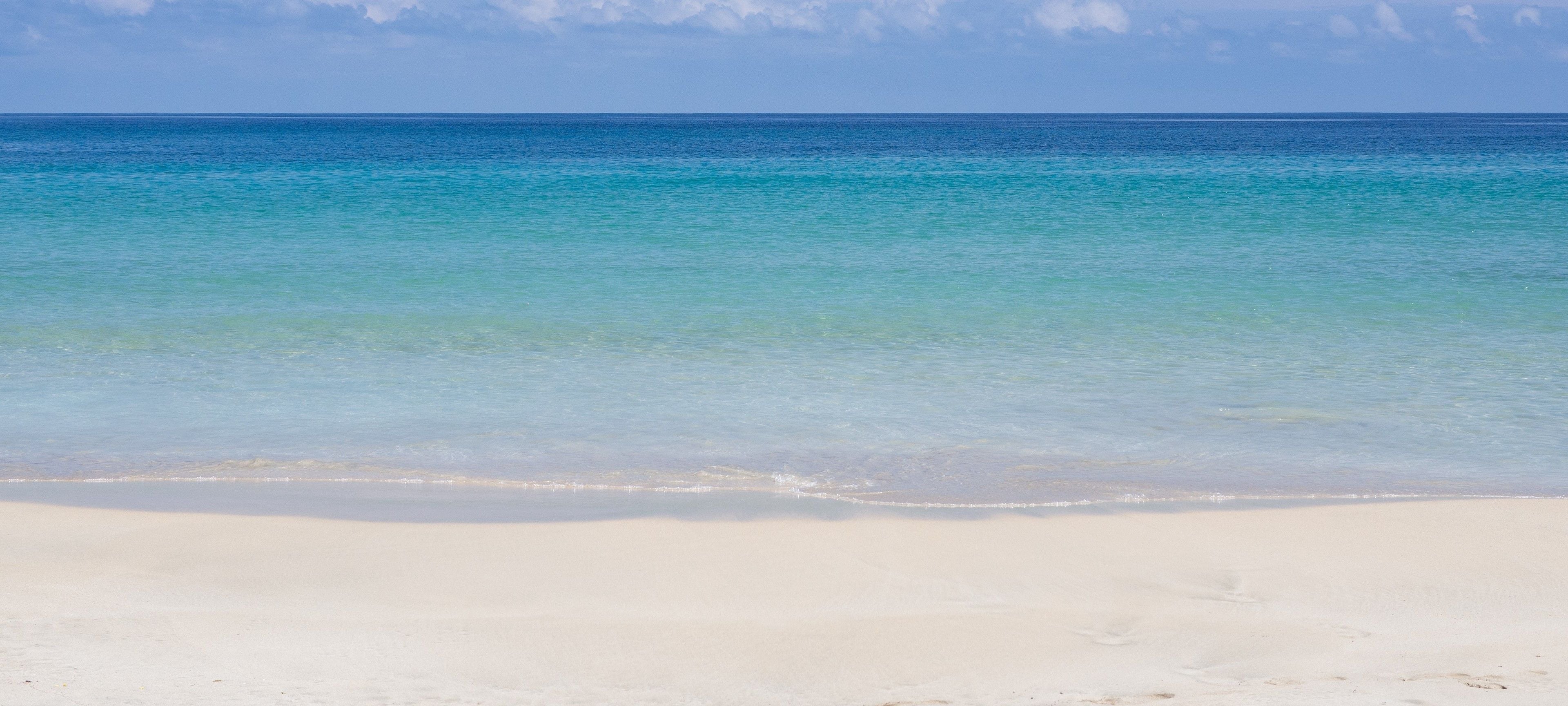 La Loma Jungle Lodge & Chocolate Farm