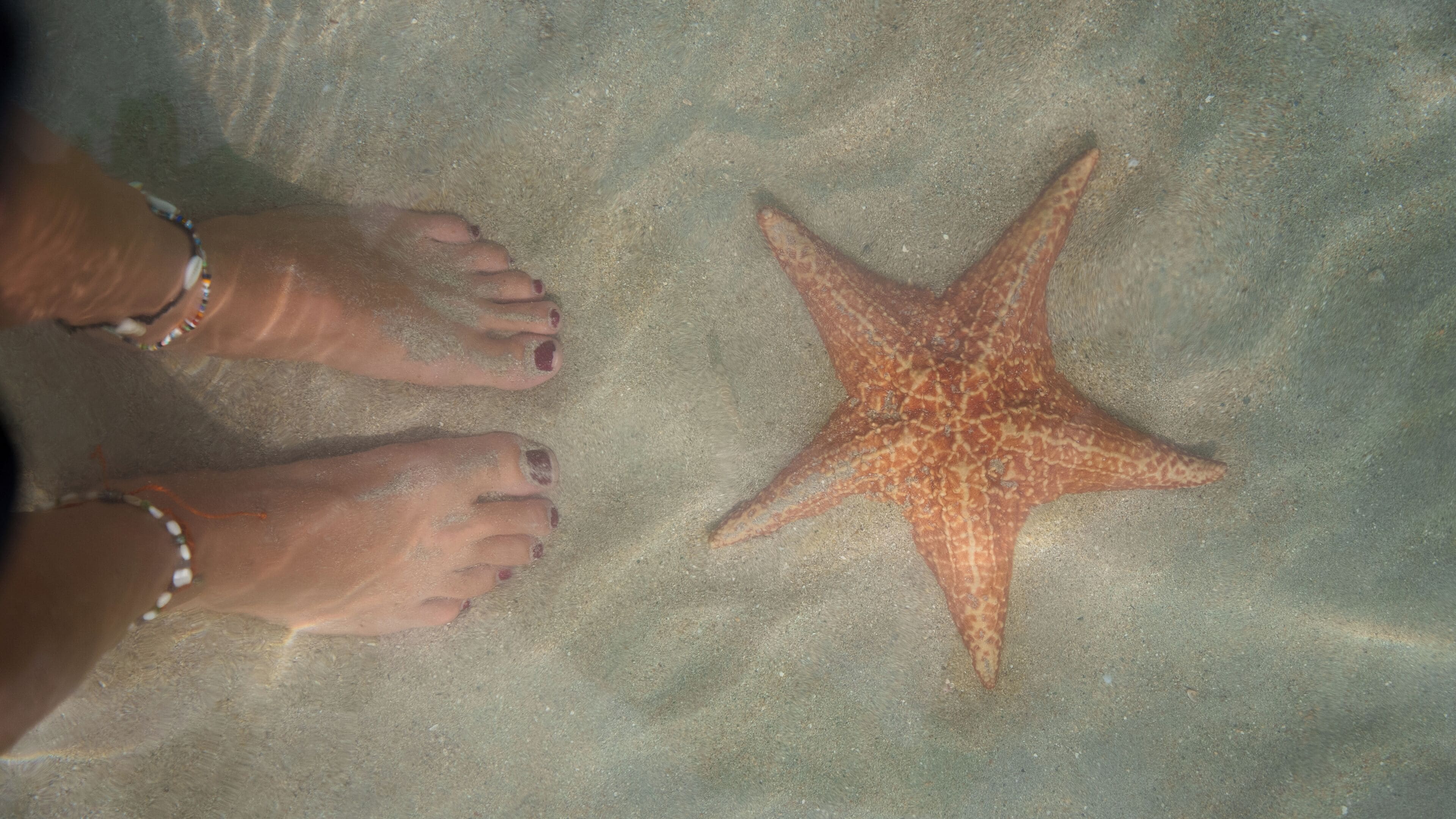 Palmar Beach Lodge Palmar Beach Lodge