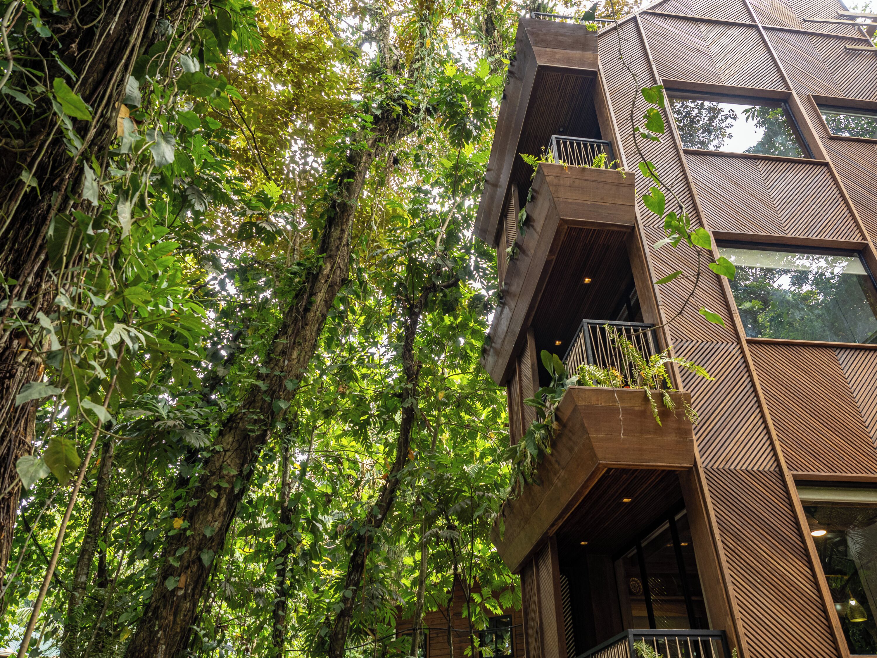 Palmar Beach Lodge Palmar Beach Lodge