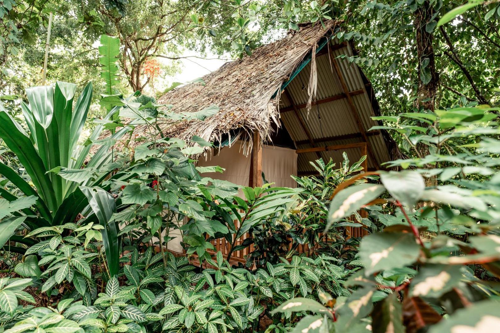 Palmar Beach Lodge Palmar Beach Lodge