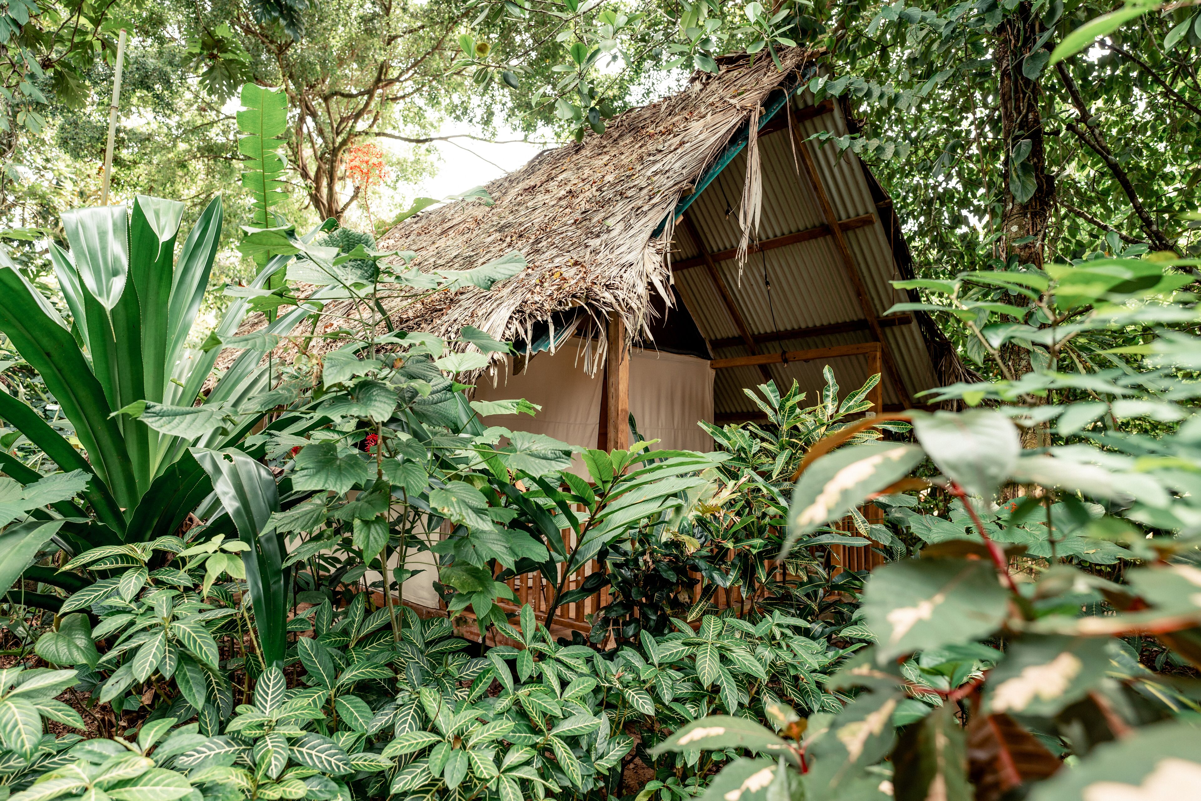 Palmar Beach Lodge Palmar Beach Lodge