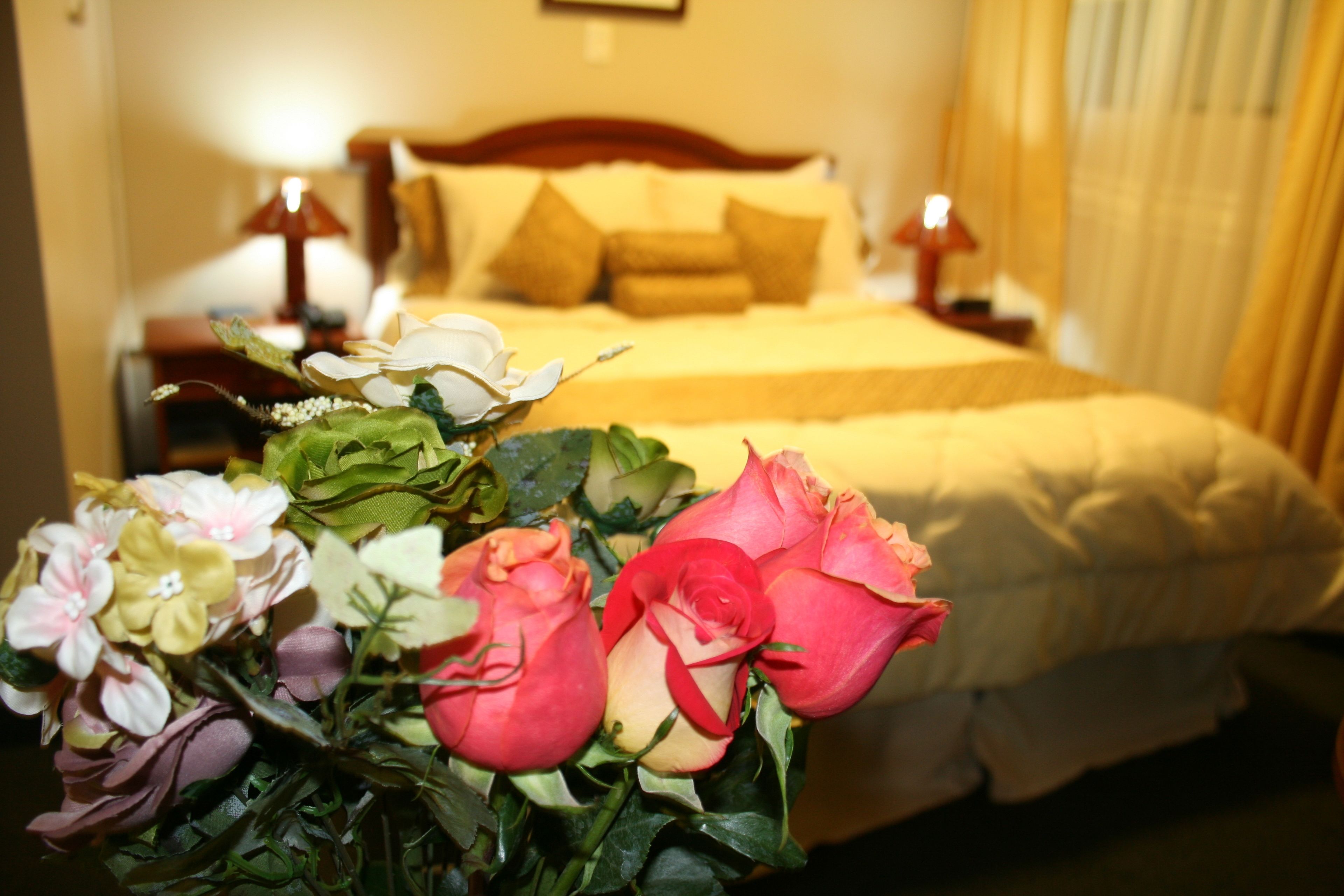 Hotel La Joya Hotel La Joya