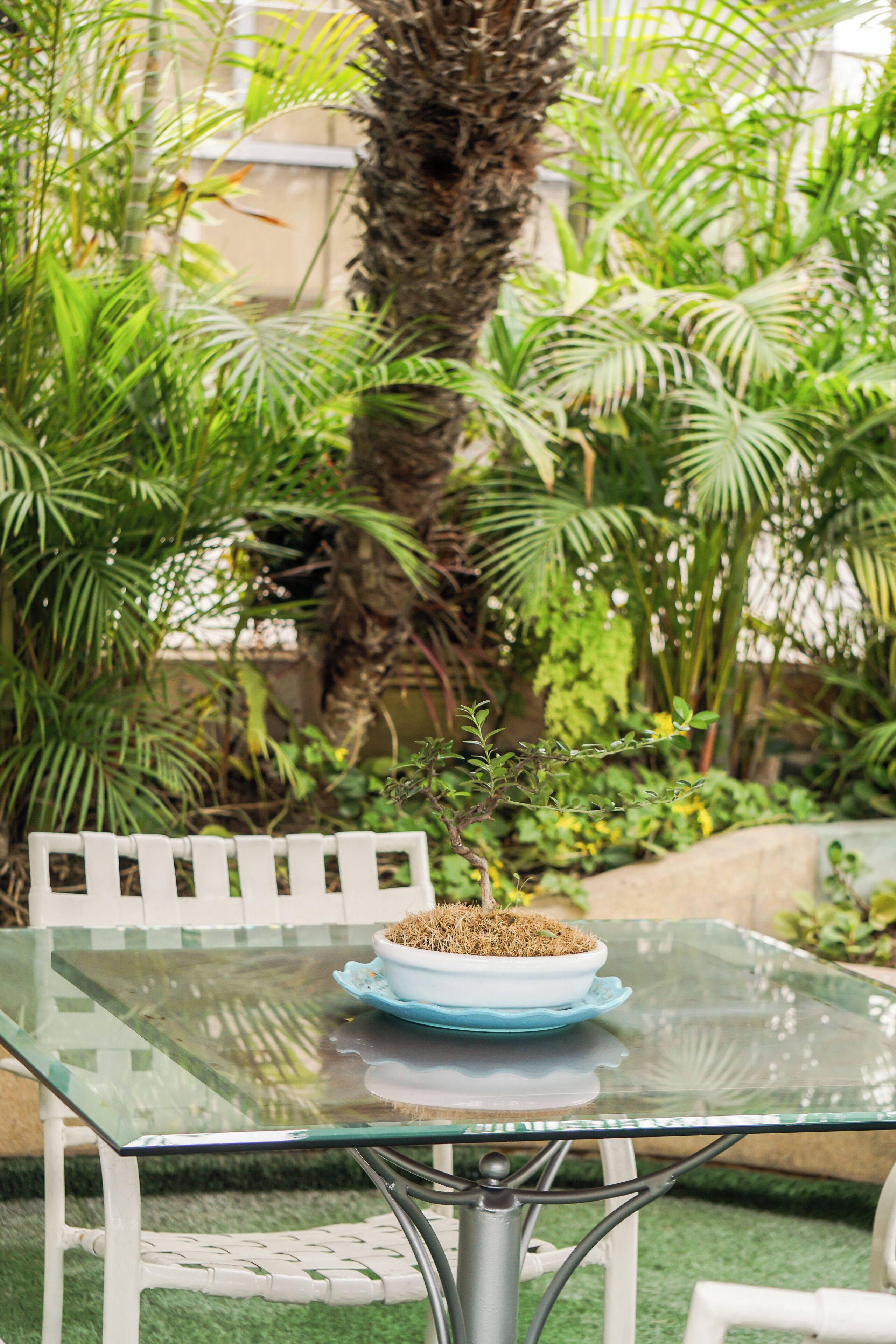 Daniel's Apart Hotel