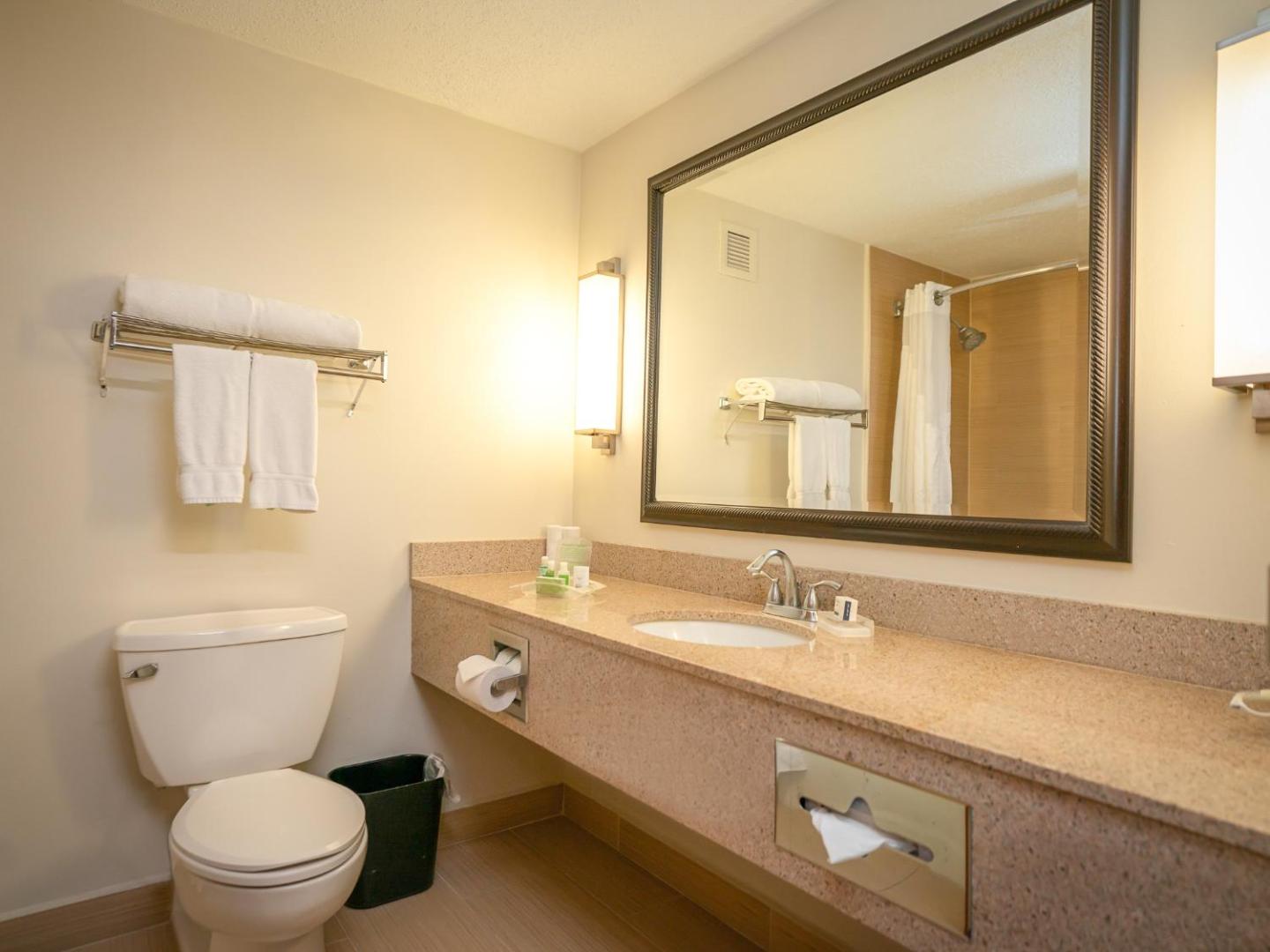Holiday Inn Mayaguez & Tropical Casino Holiday Inn Mayaguez & Tropical Casino