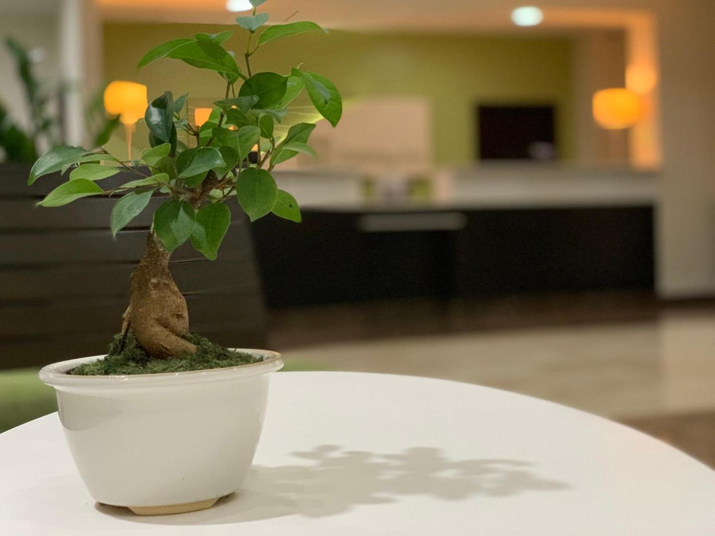 Holiday Inn Mayaguez & Tropical Casino Holiday Inn Mayaguez & Tropical Casino