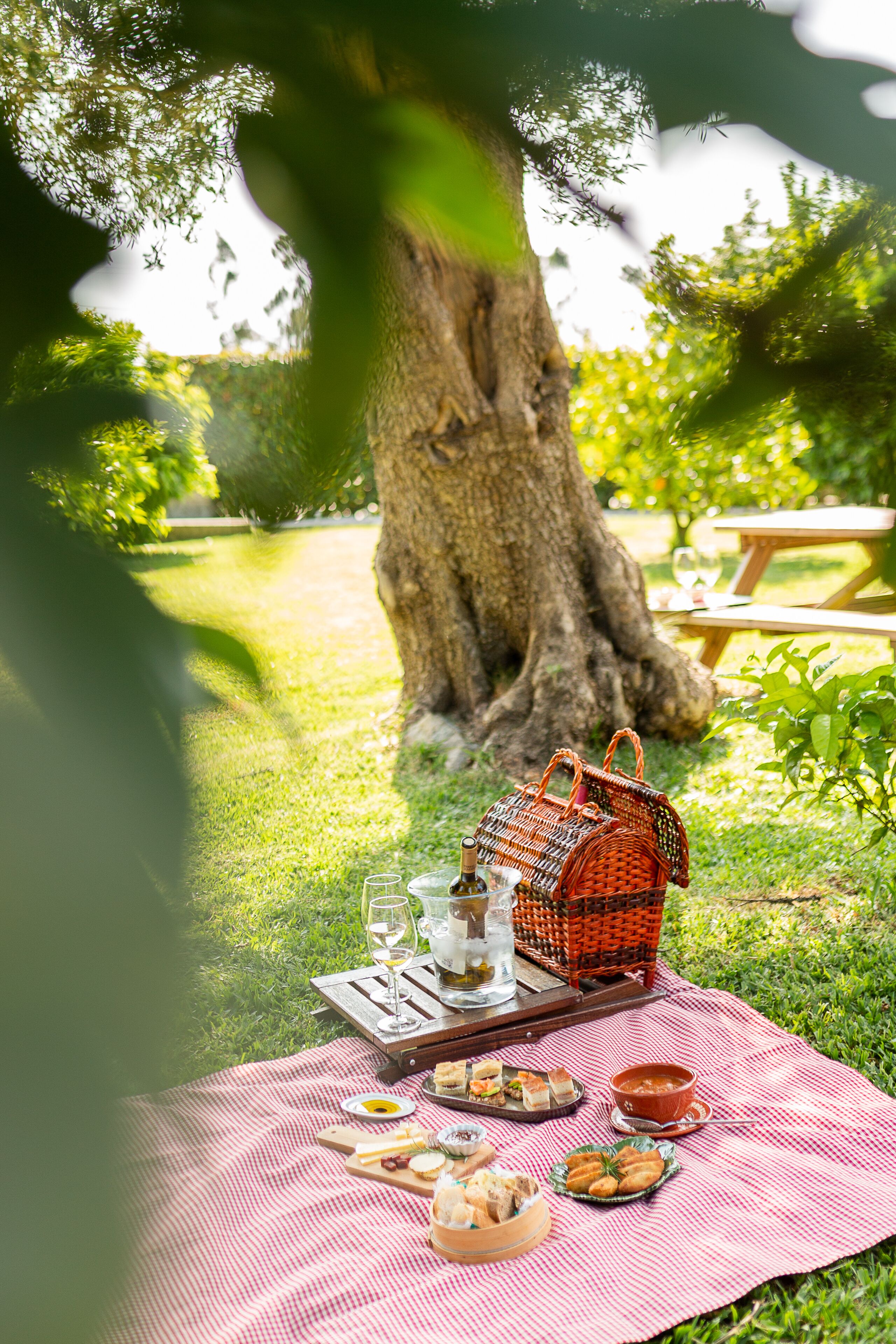 Casa Lata-Agroturismo Casa Lata-Agroturismo