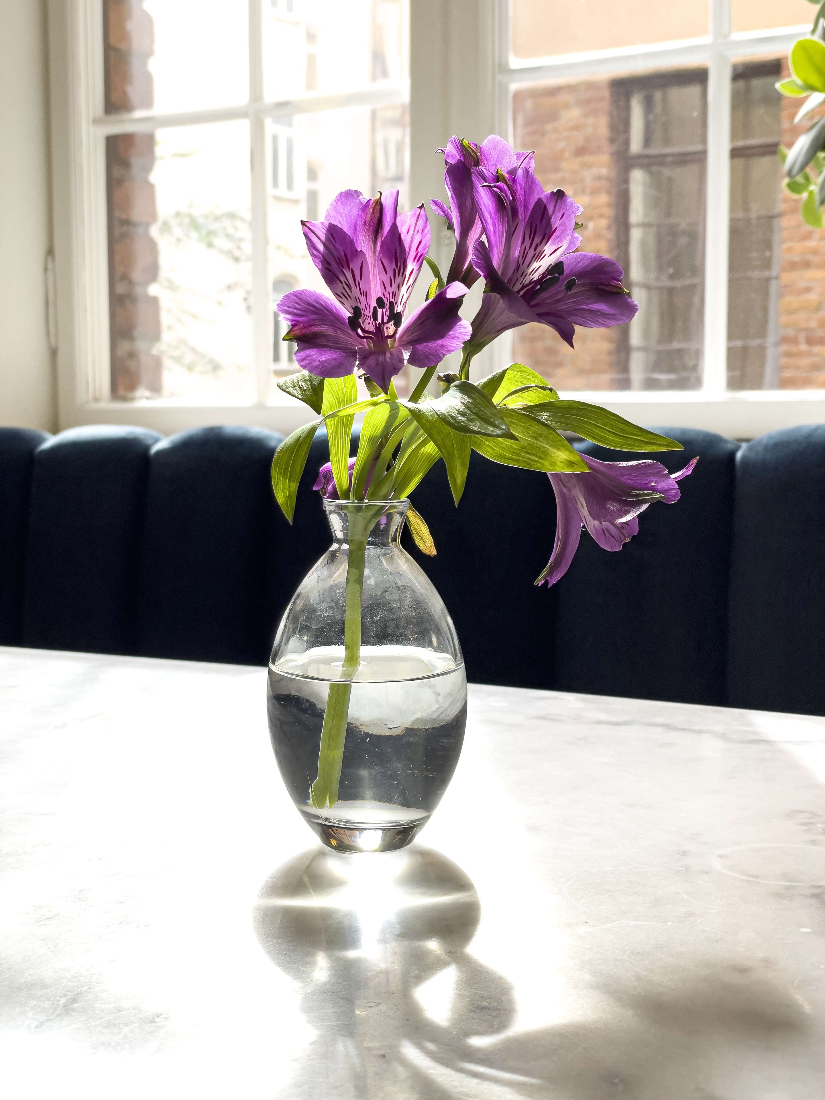 Best Western Hotel Karlaplan