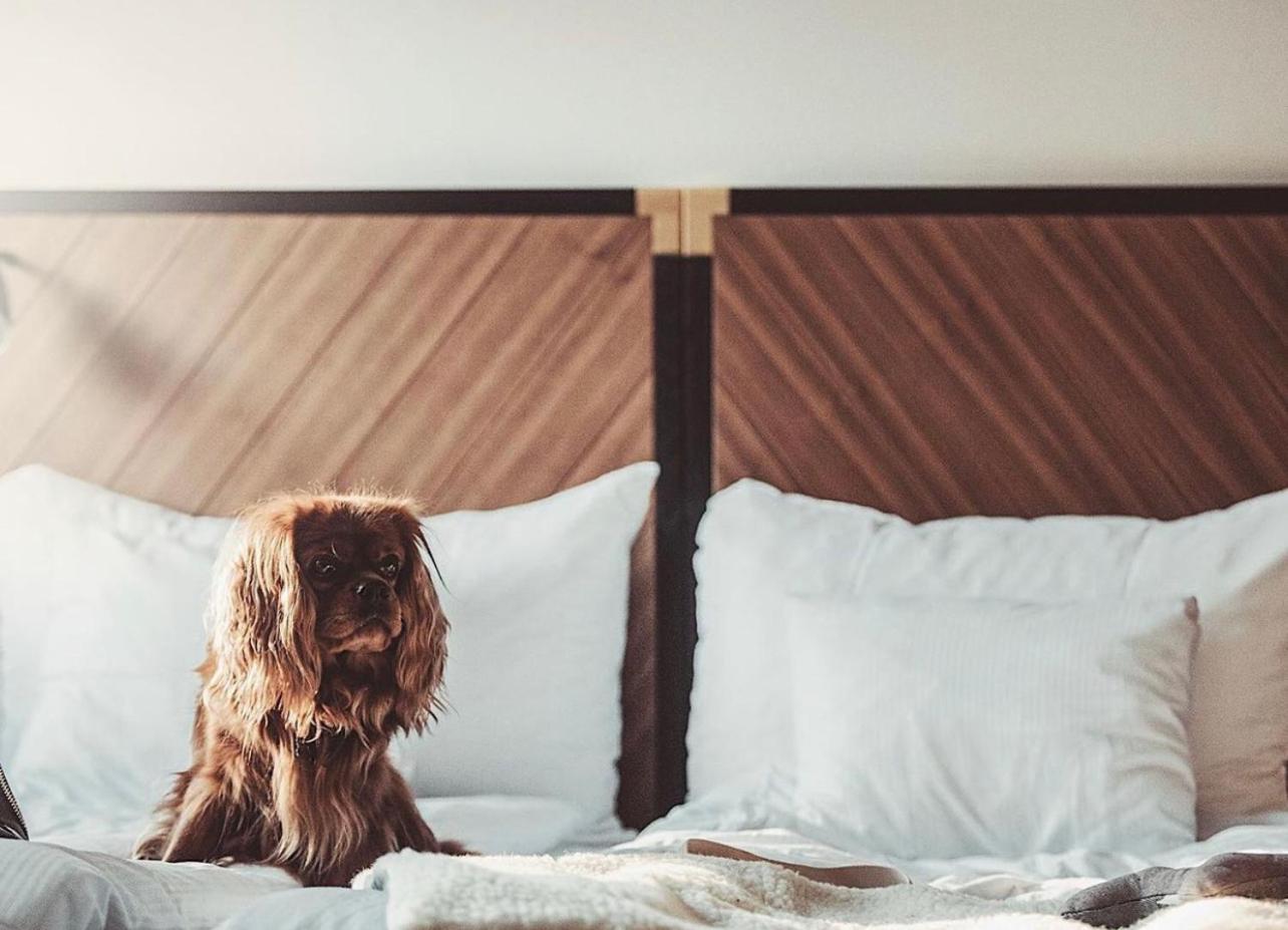 Clarion Hotel Amaranten