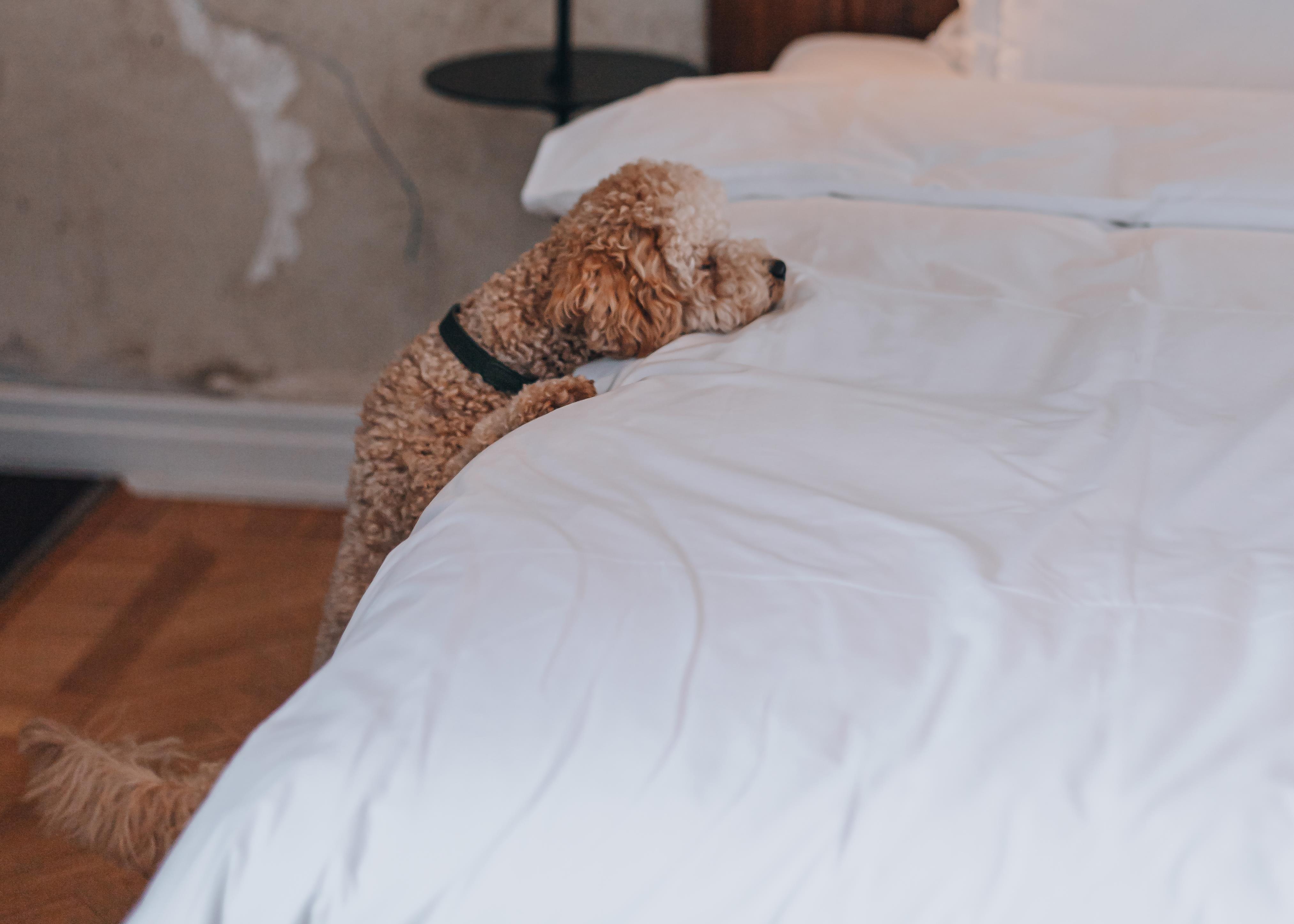 Story Hotel Riddargatan