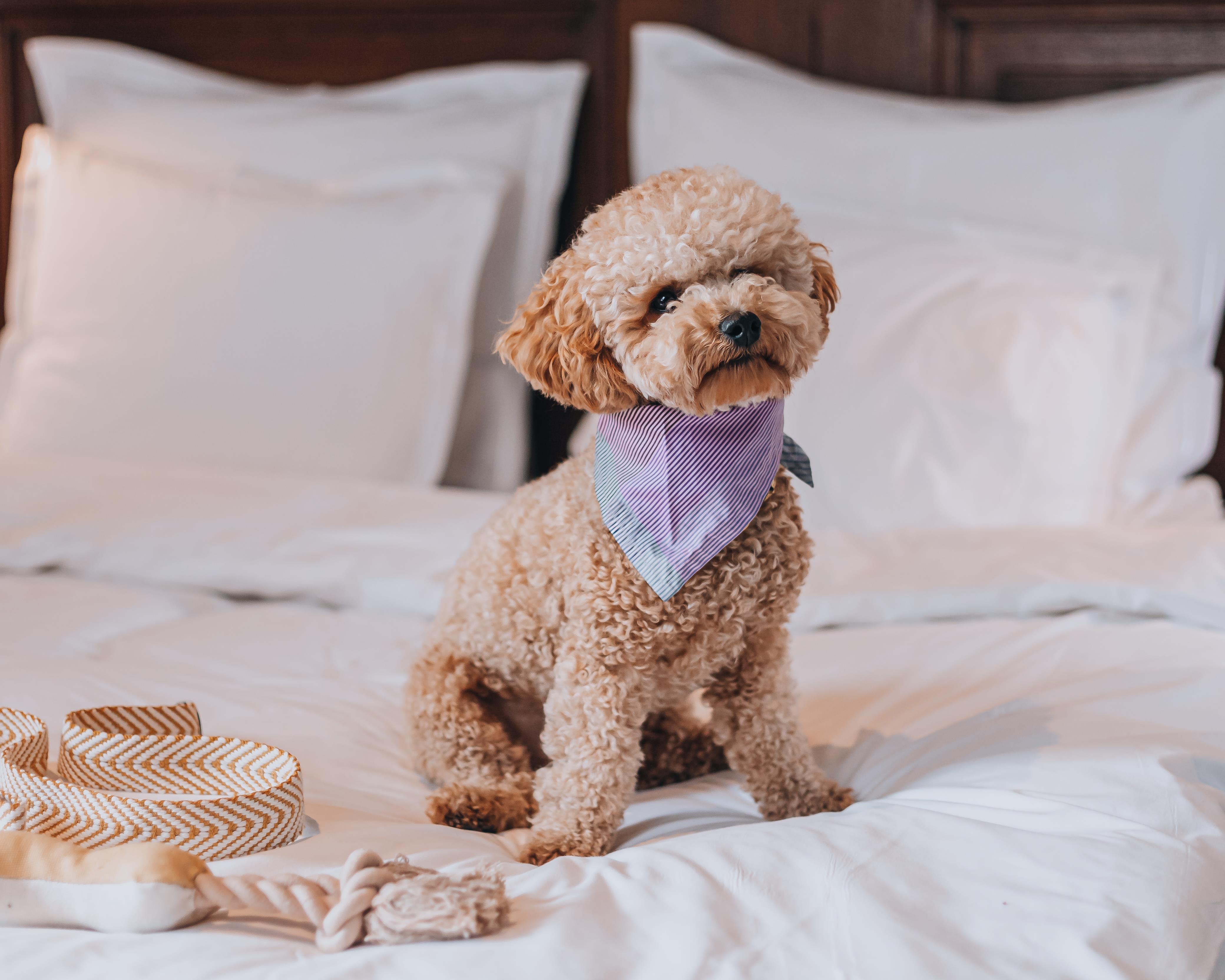 Story Hotel Riddargatan