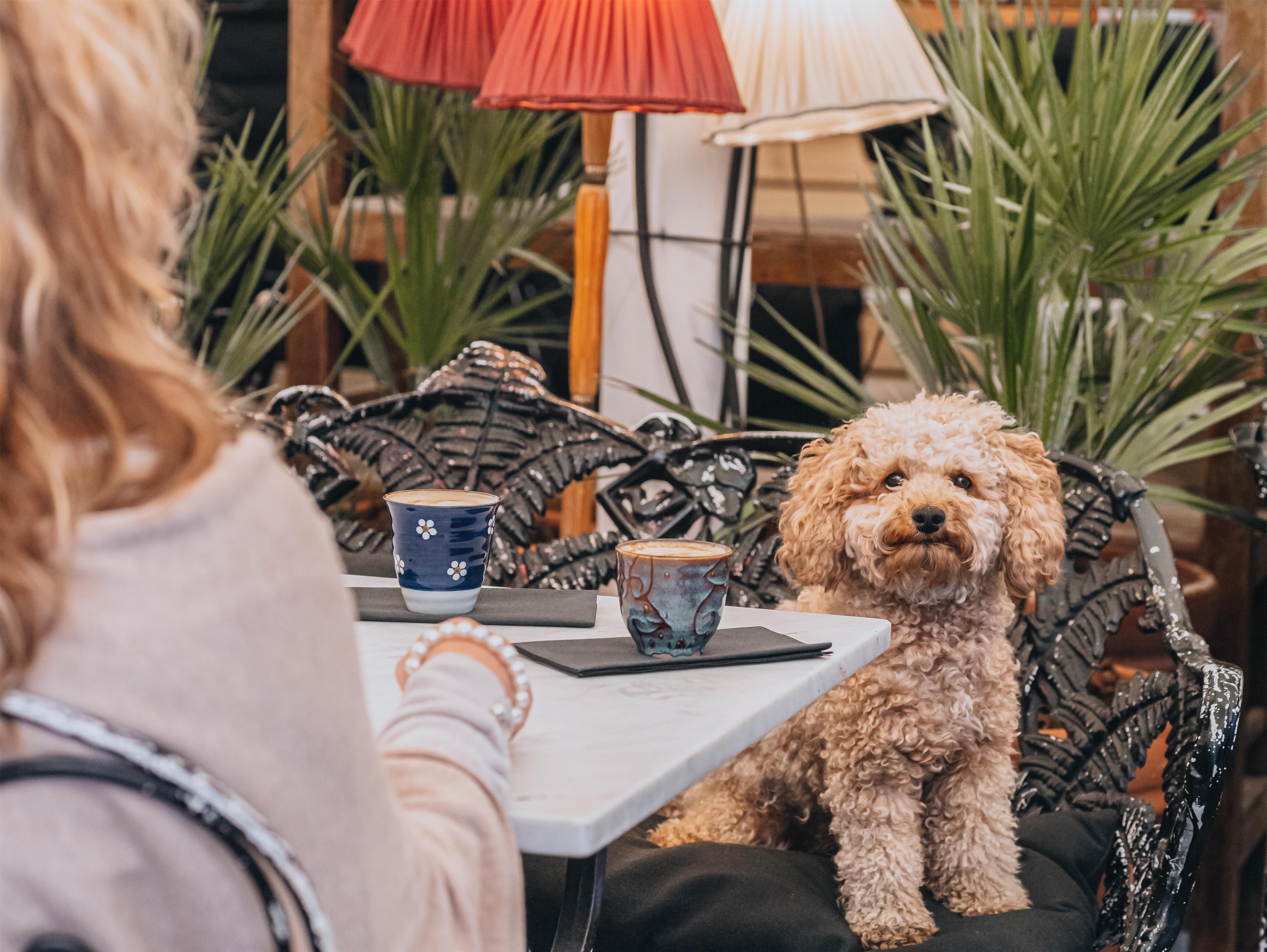 Story Hotel Riddargatan