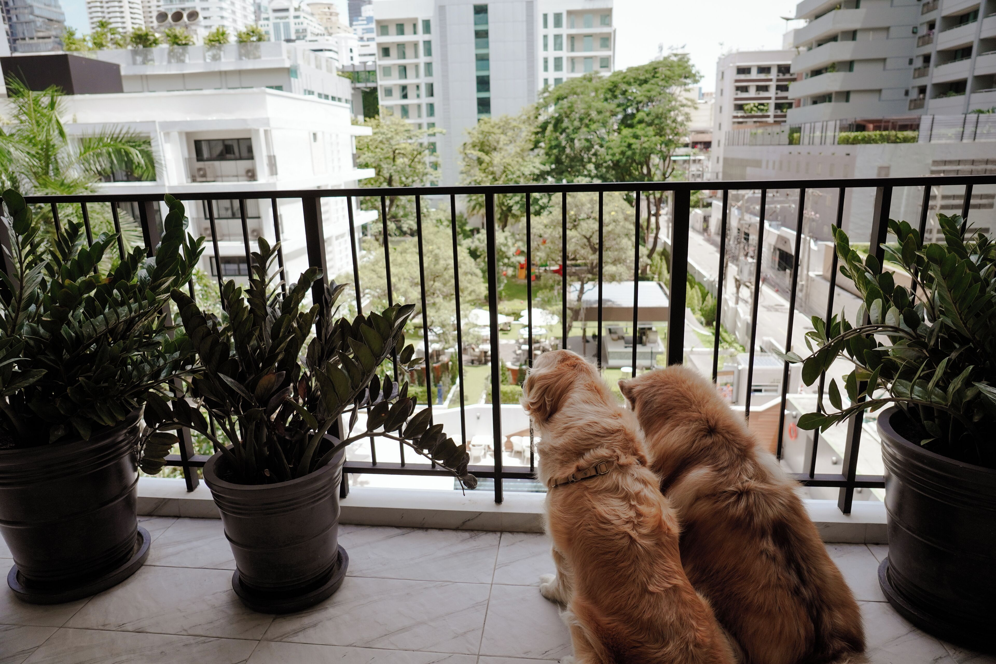 Floral Court Hotel & Residence