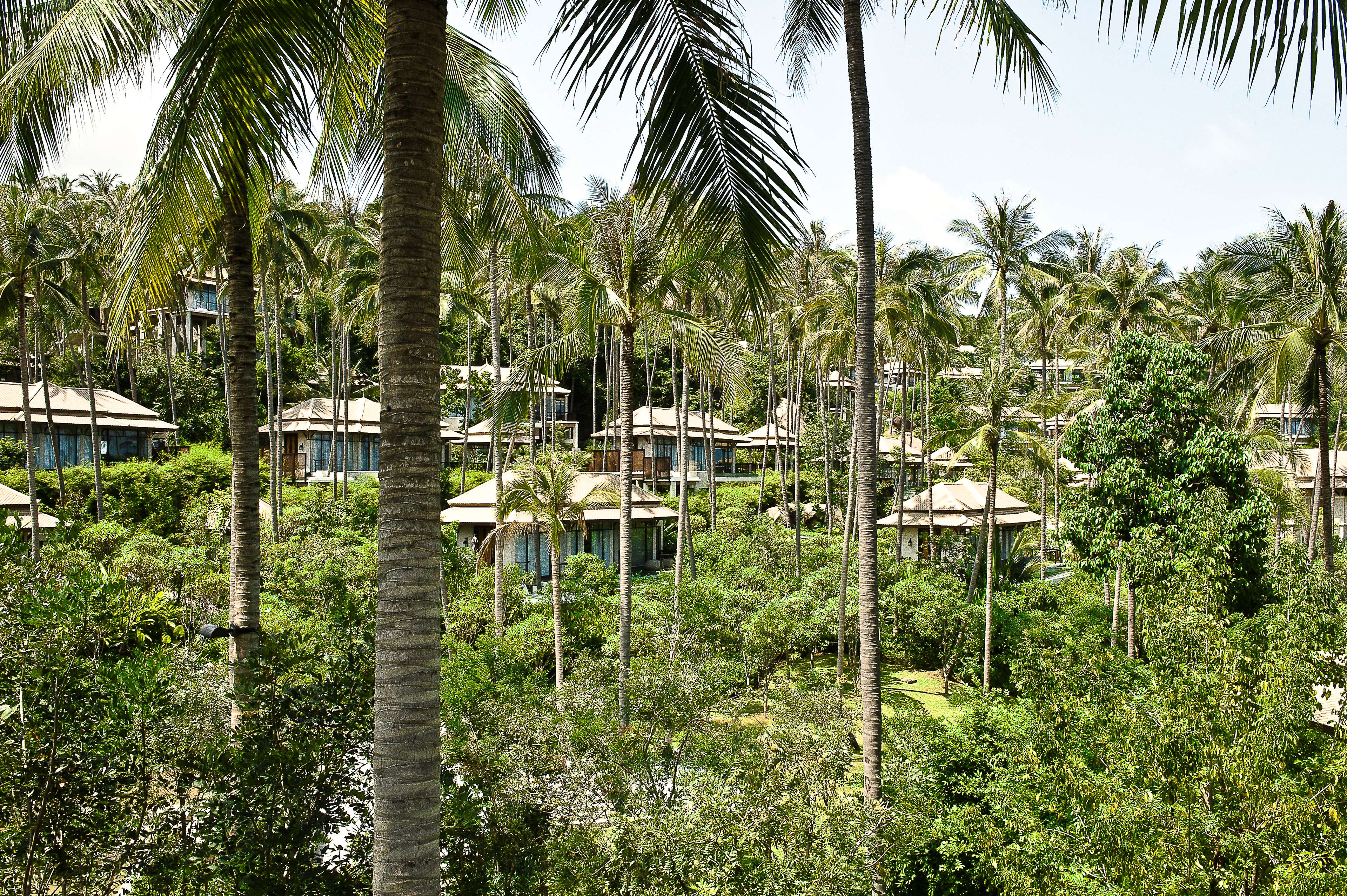 Banyan Tree Samui Banyan Tree Samui