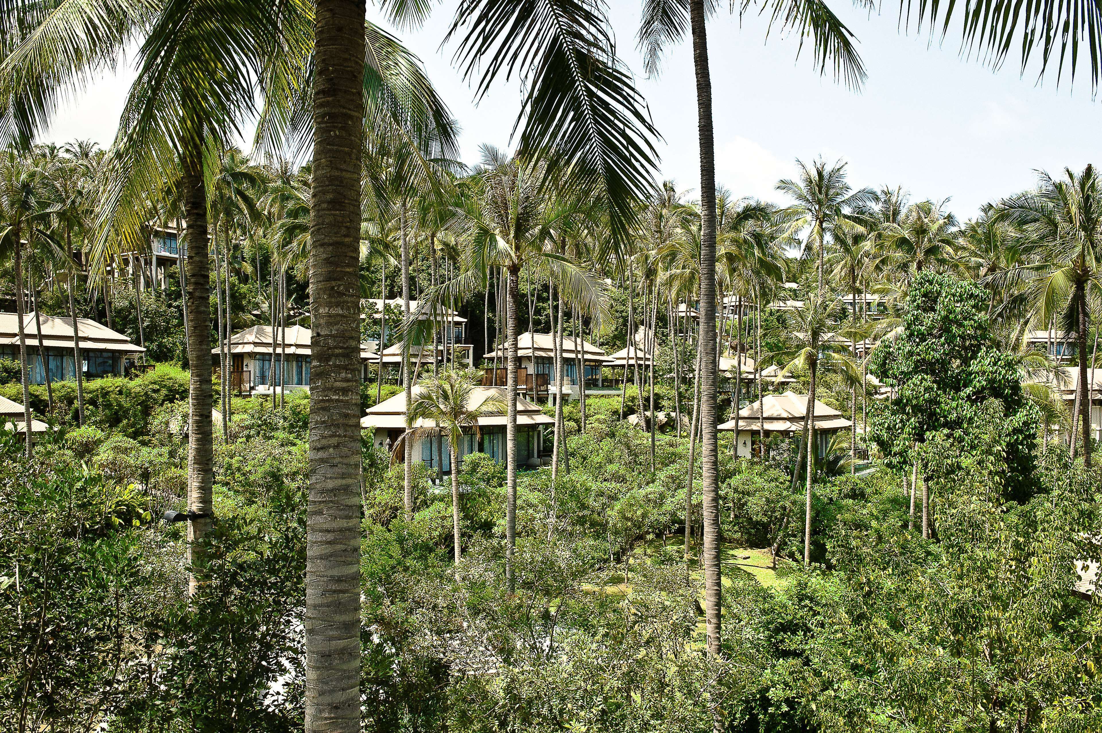 Banyan Tree Samui Banyan Tree Samui
