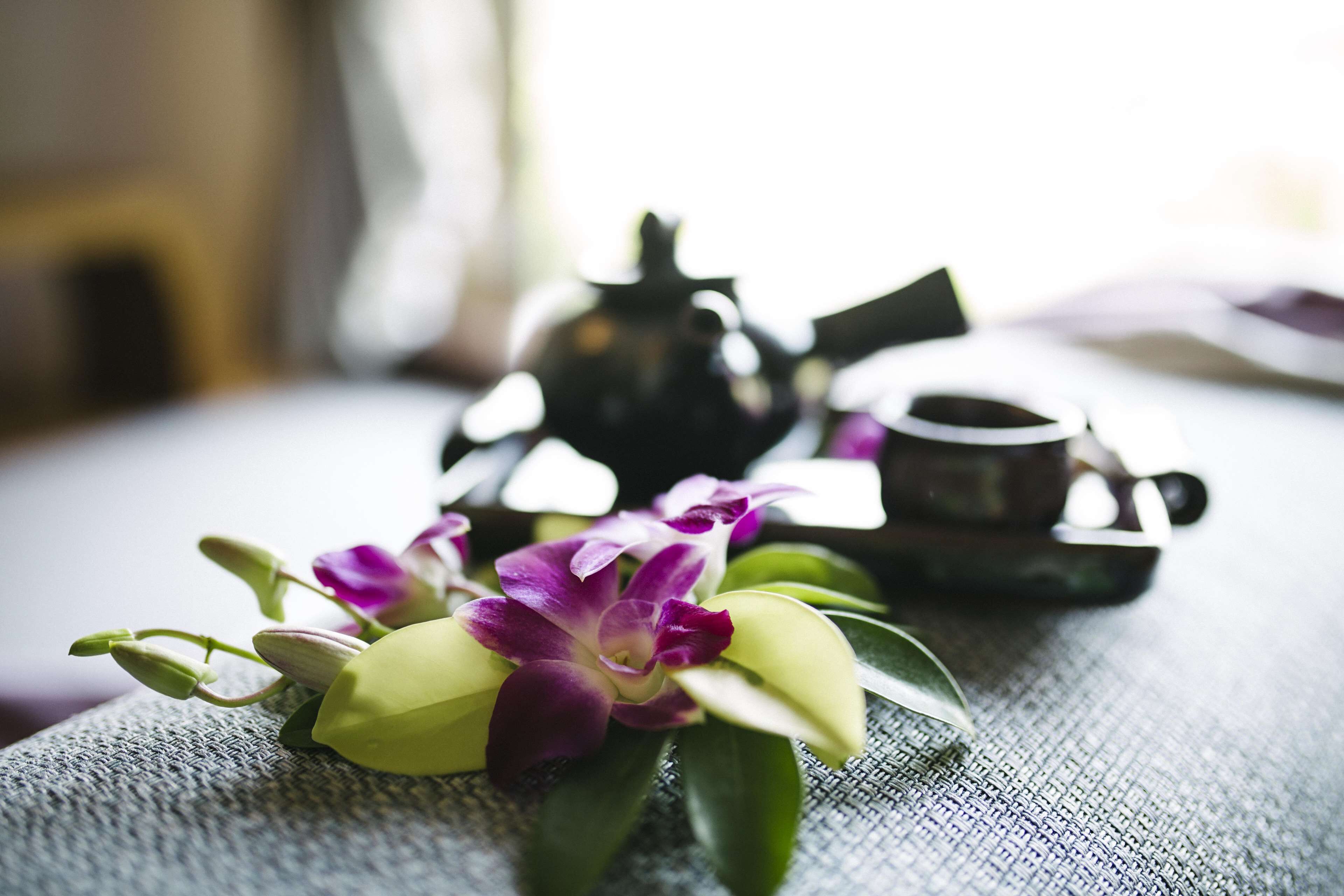 Anantara Layan Phuket Resort Anantara Layan Phuket Resort