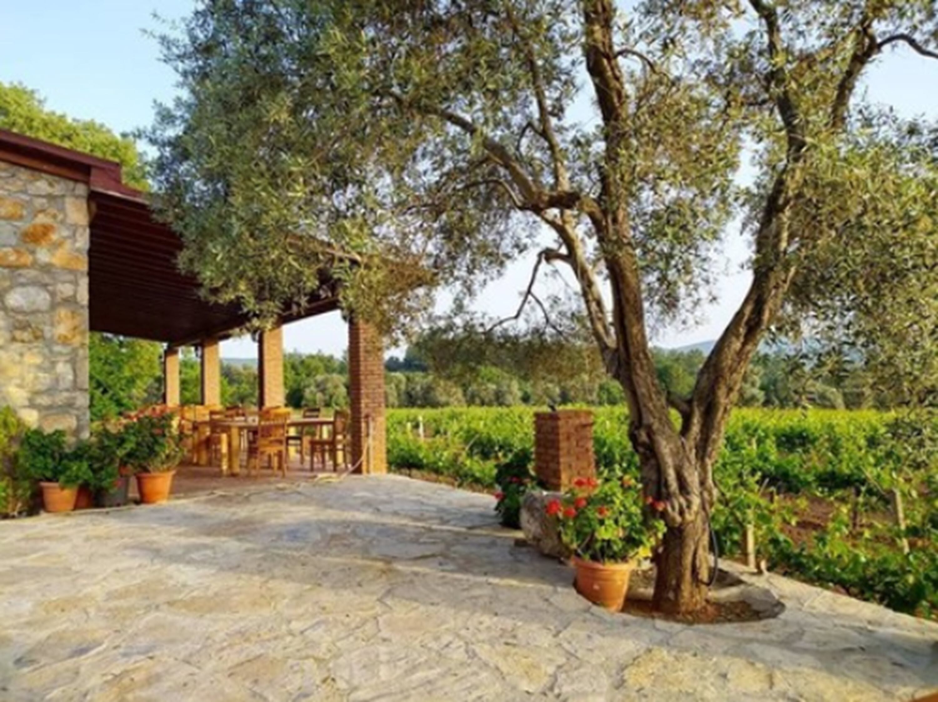 Bodrium Hotel & Spa Bodrium Hotel & Spa