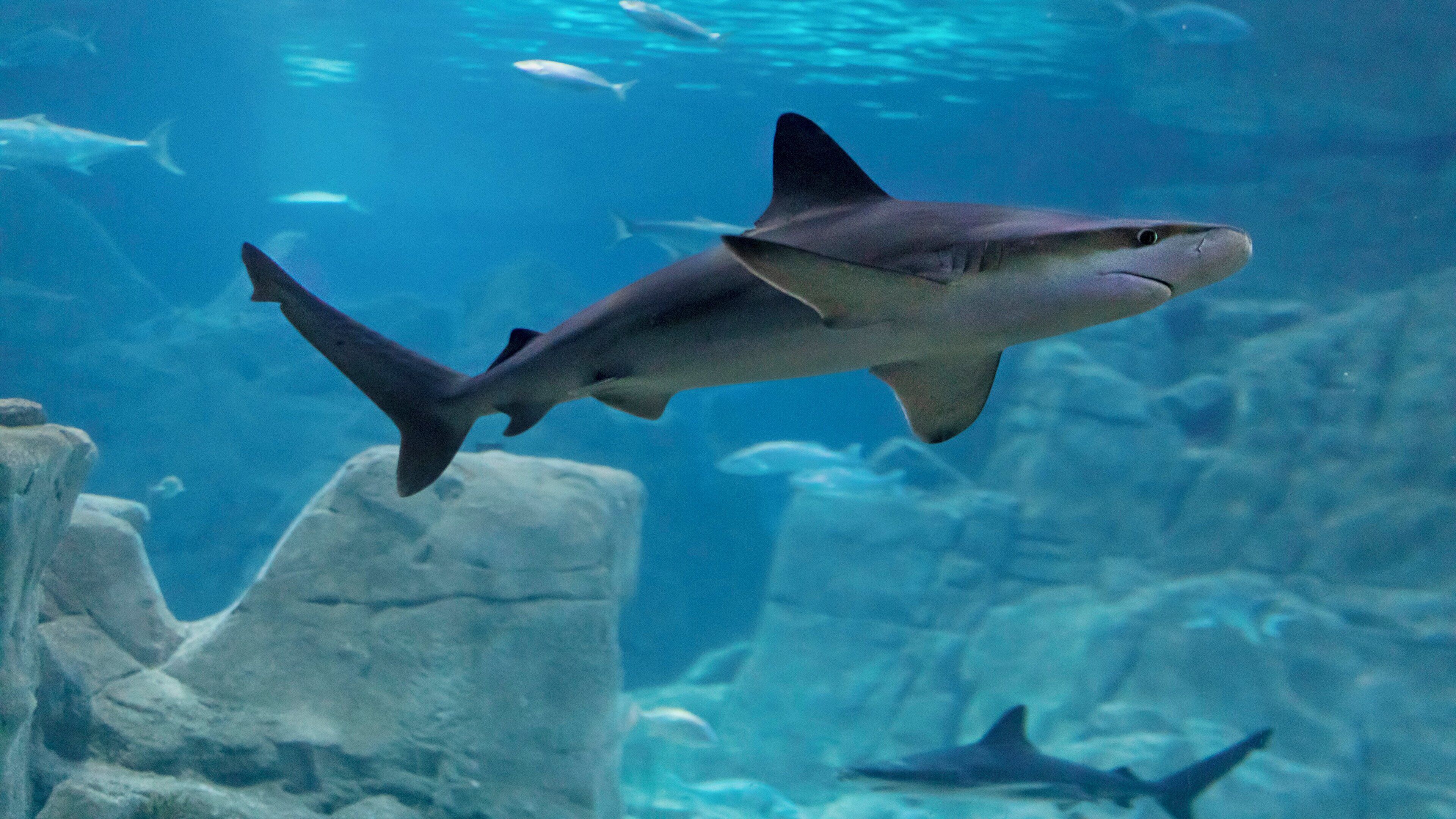 Crowne Plaza Istanbul Florya