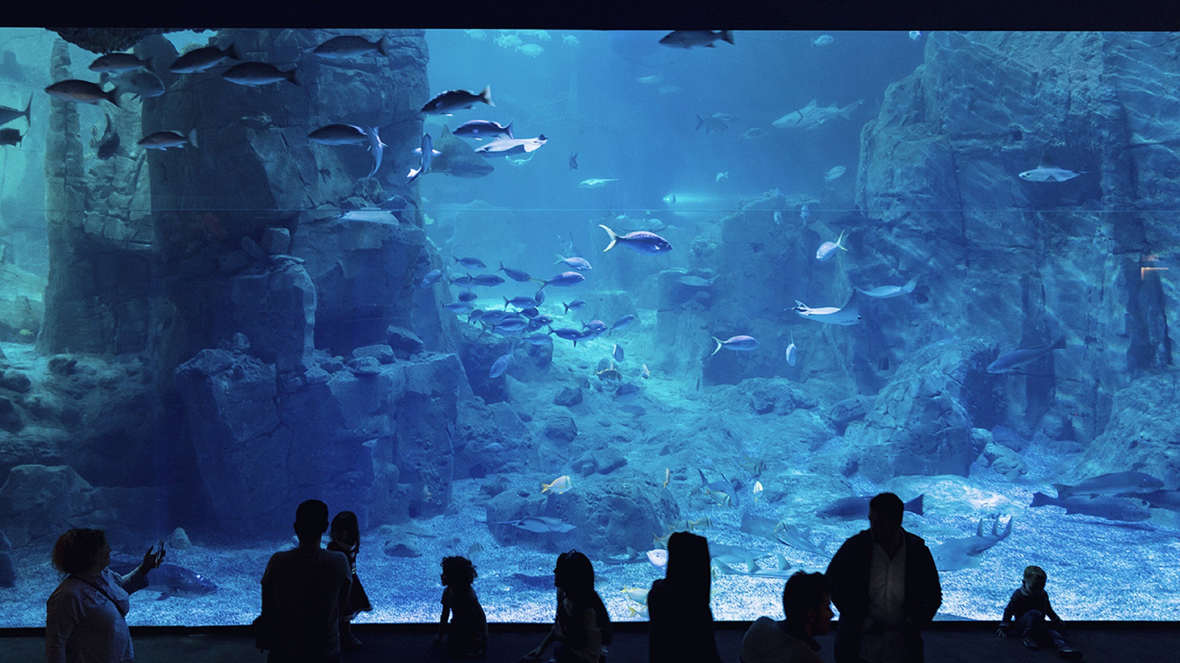 Crowne Plaza Istanbul Florya