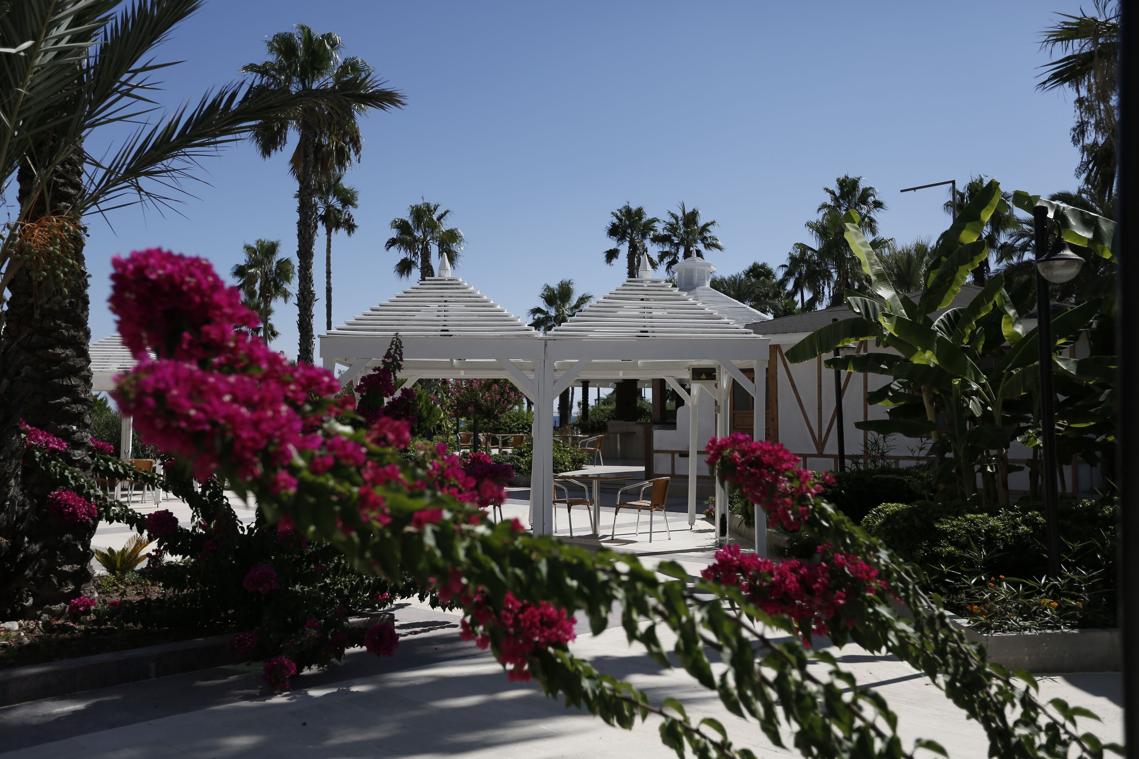 Adora Hotel & Resort Adora Hotel & Resort