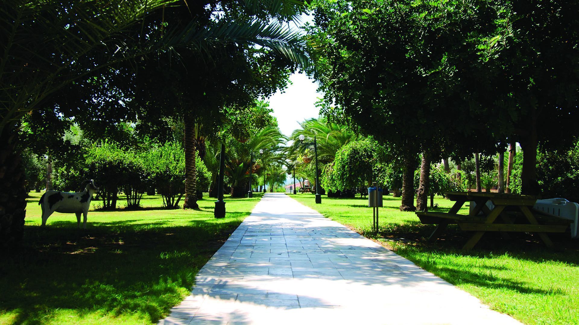 Süral Saray Hotel Süral Saray Hotel