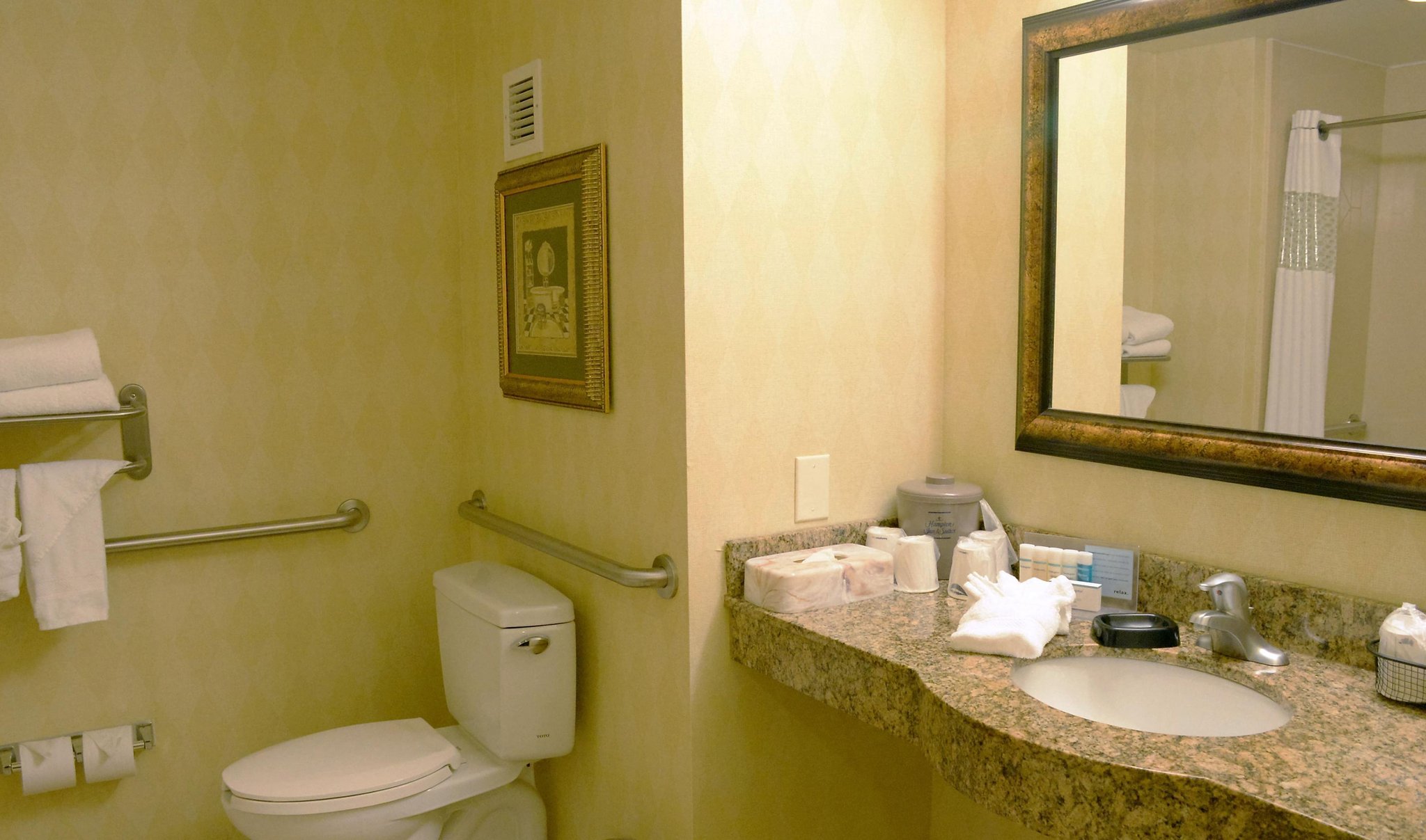 Hampton Inn & Suites Birmingham-Hoover-Galleria Hampton Inn & Suites Birmingham-Hoover-Galleria