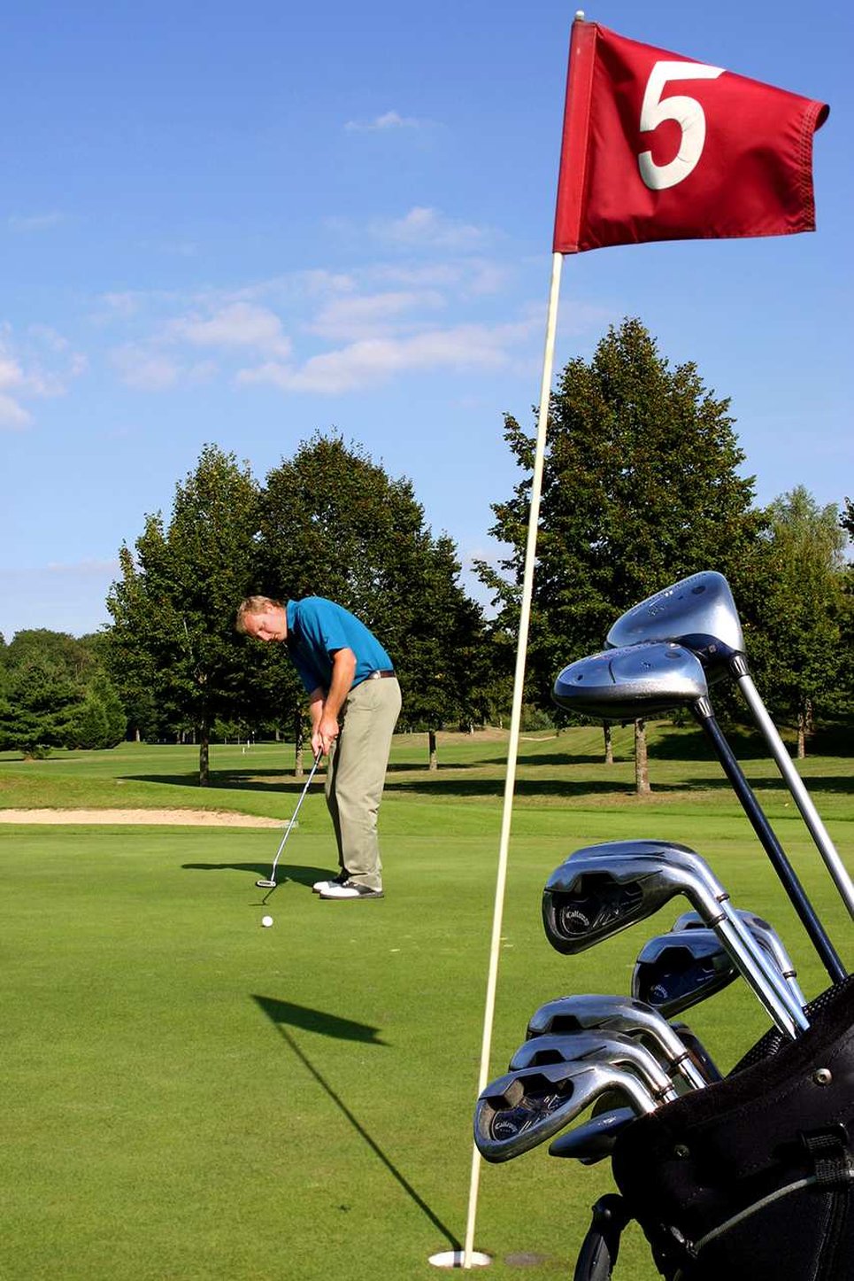 Hampton Inn Troy Hampton Inn Troy