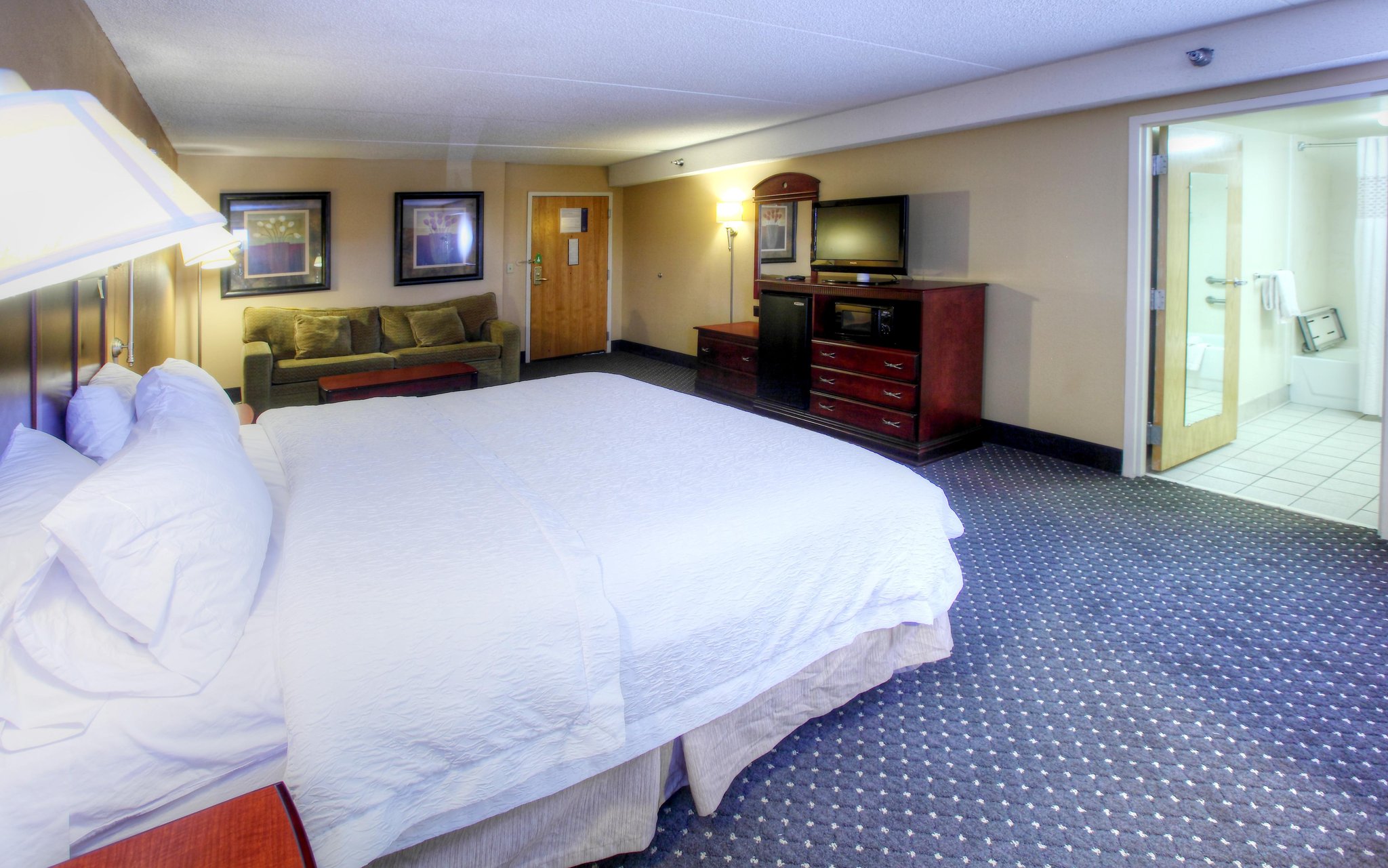 Hampton Inn Tuscaloosa-East Hampton Inn Tuscaloosa-East