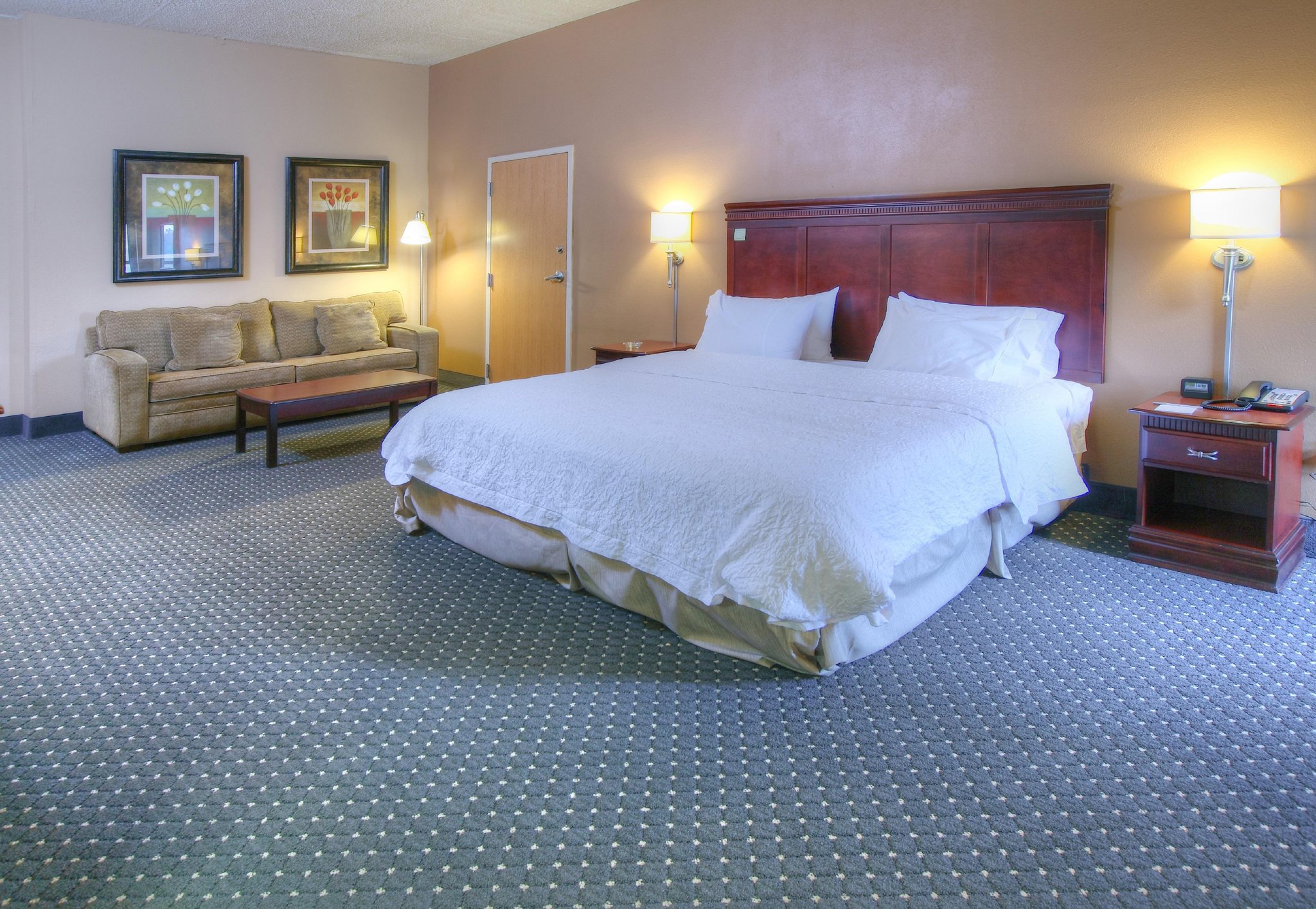 Hampton Inn Tuscaloosa-East Hampton Inn Tuscaloosa-East