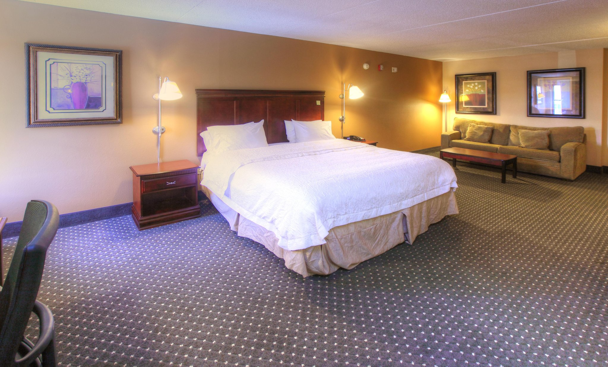 Hampton Inn Tuscaloosa-East Hampton Inn Tuscaloosa-East