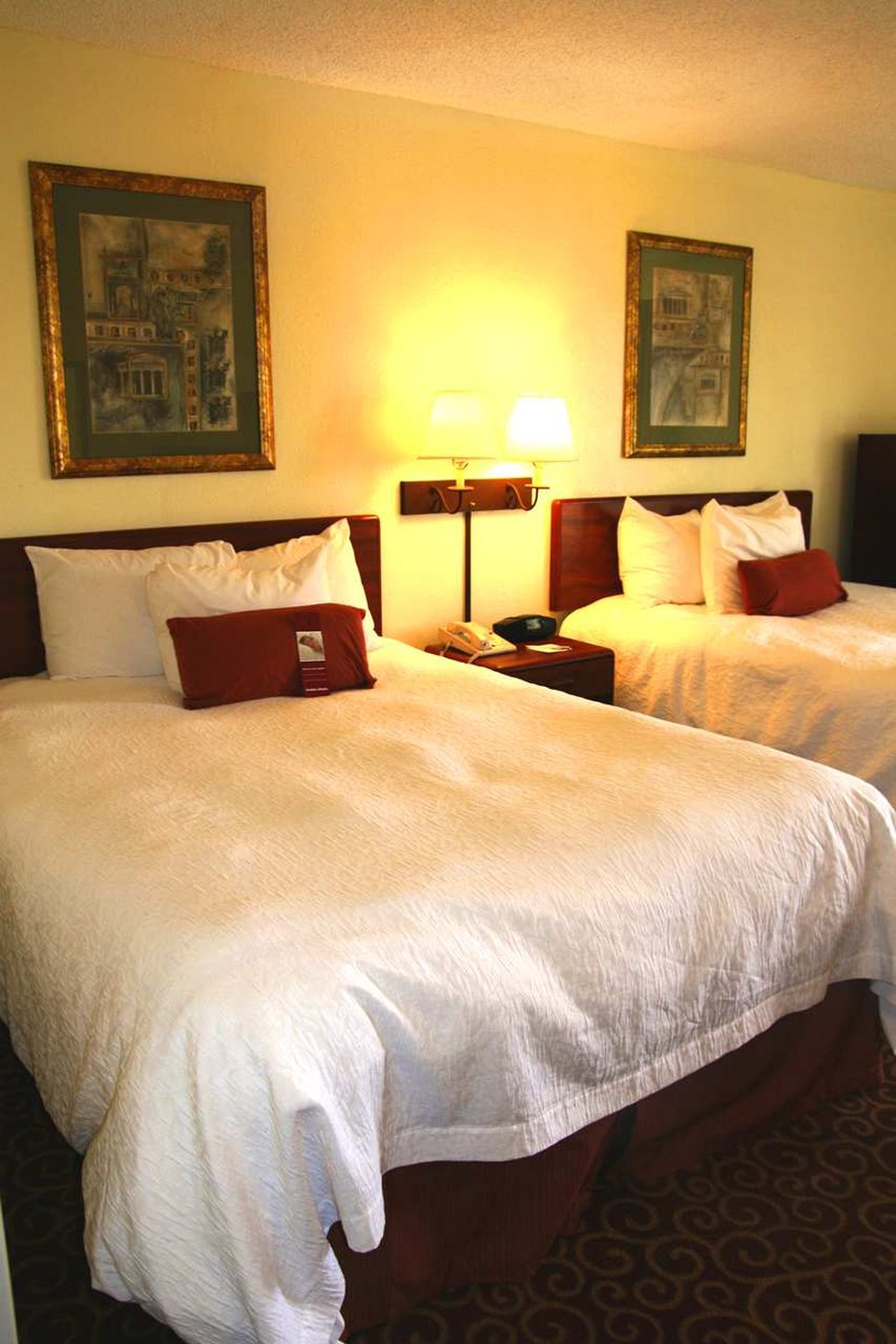 Hampton Inn Tuscaloosa University Hampton Inn Tuscaloosa University