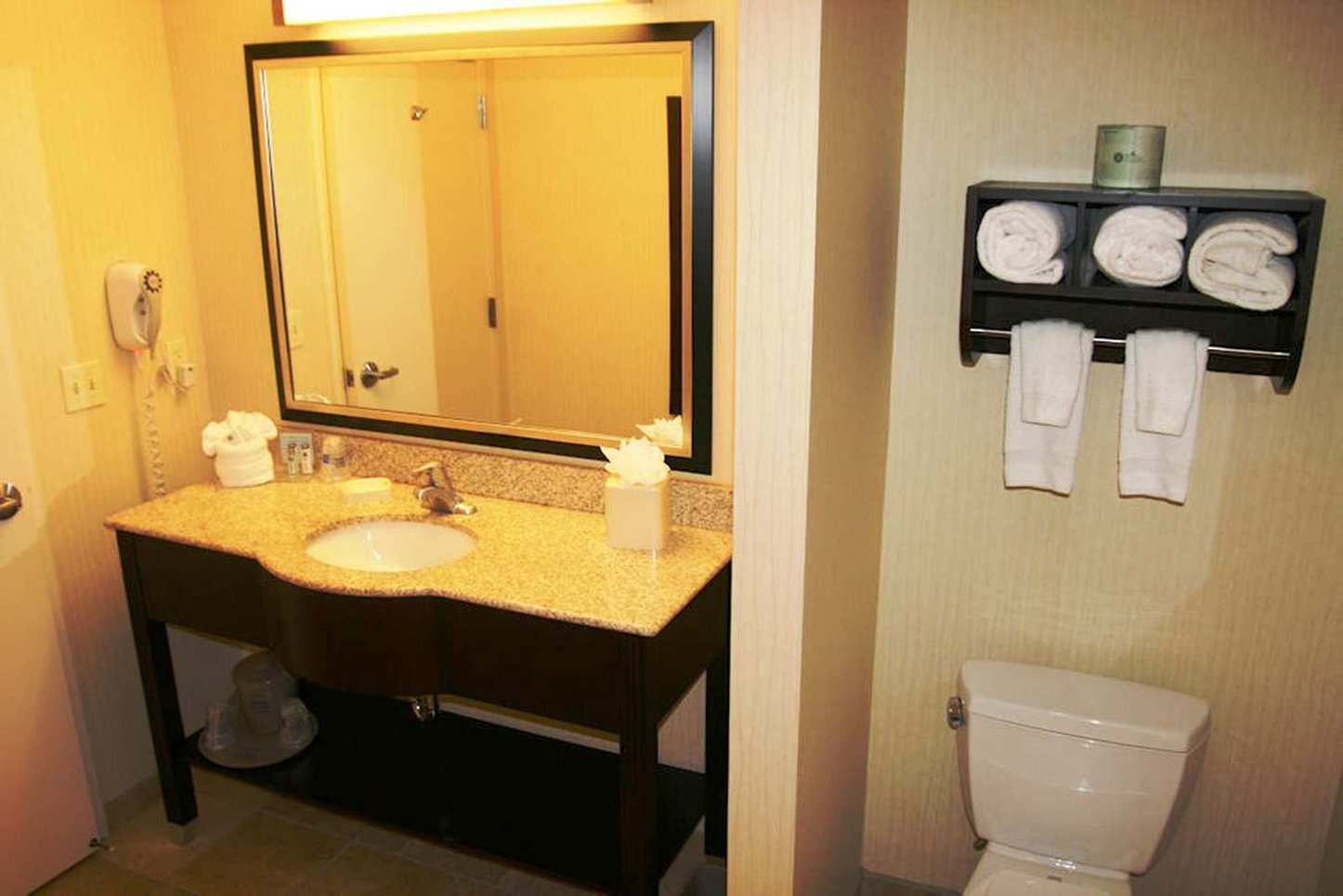 Hampton Inn & Suites Phoenix Glendale-Westgate Hampton Inn & Suites Phoenix Glendale-Westgate