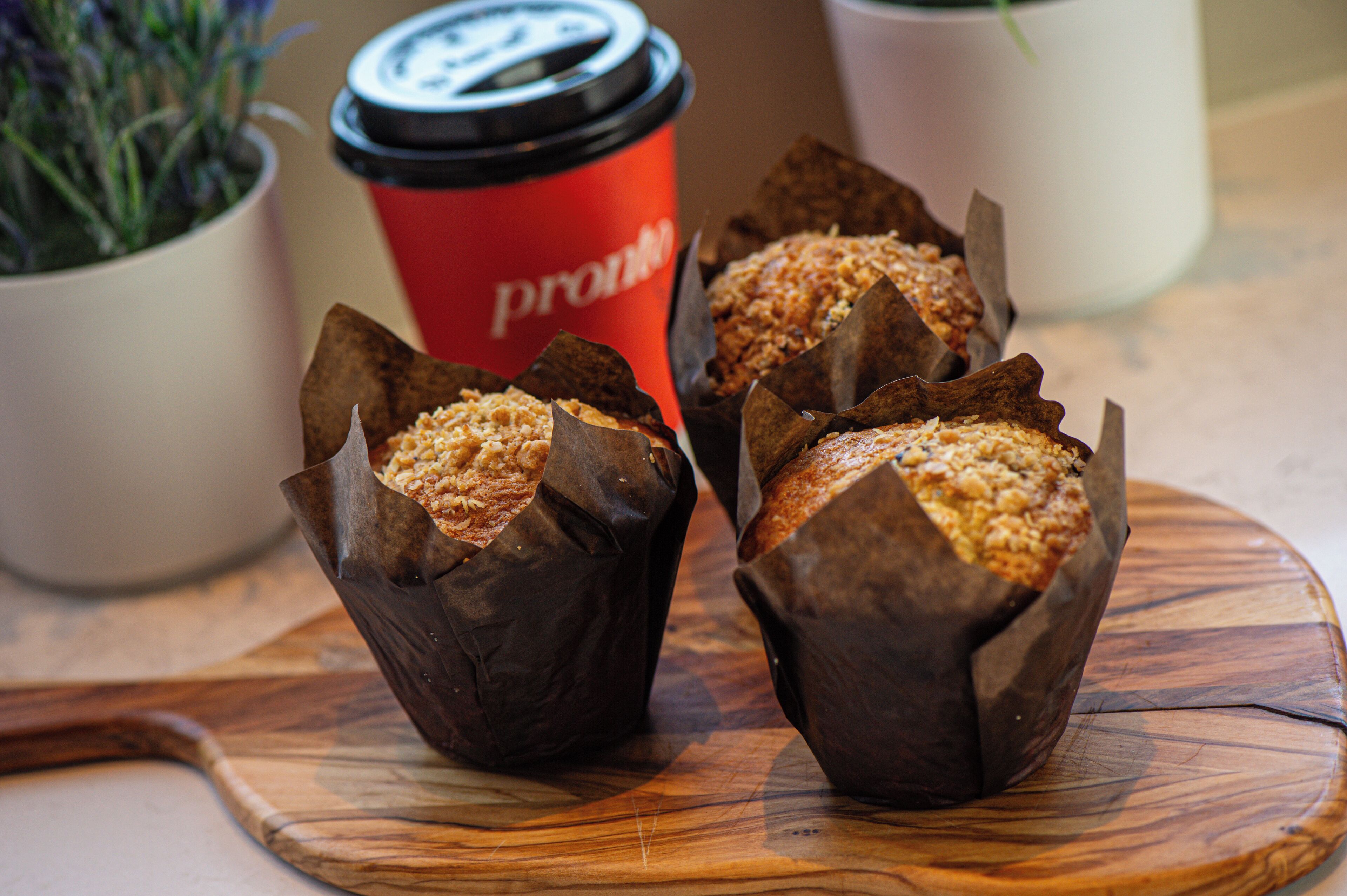 Caesars Republic Scottsdale, a Hilton Hotel