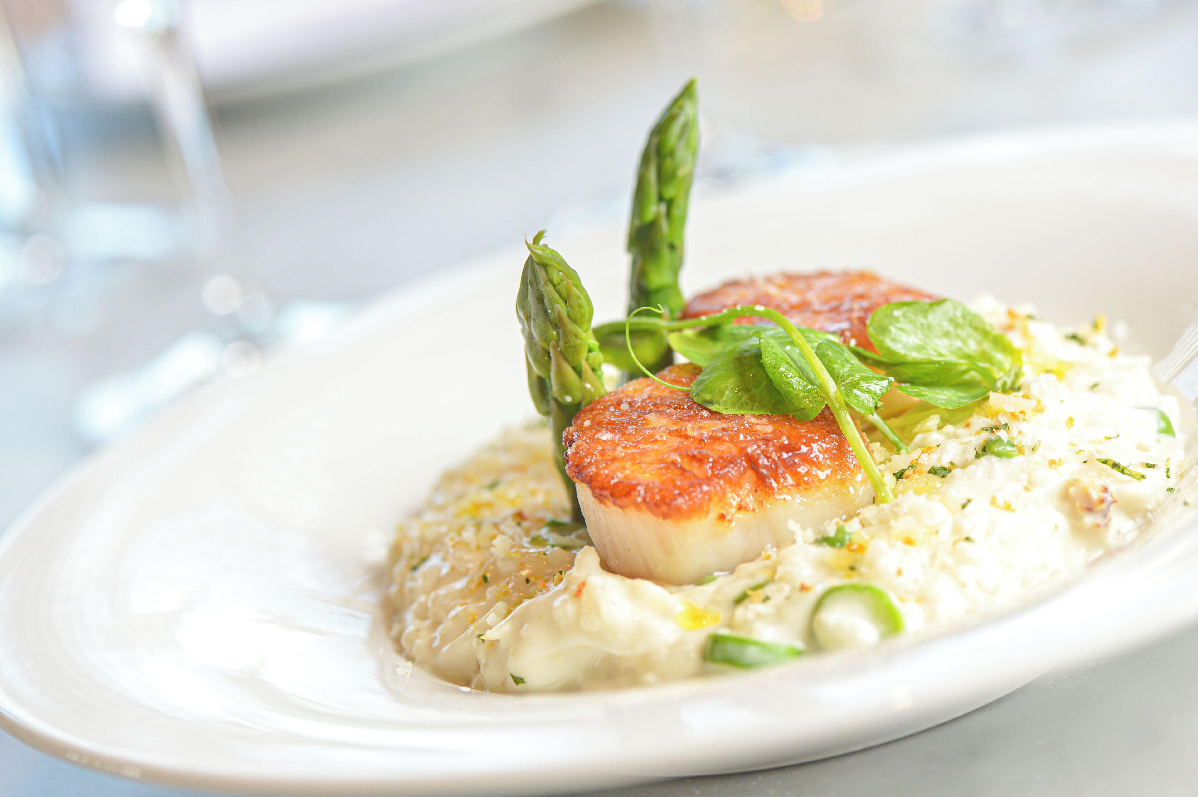 Caesars Republic Scottsdale, a Hilton Hotel