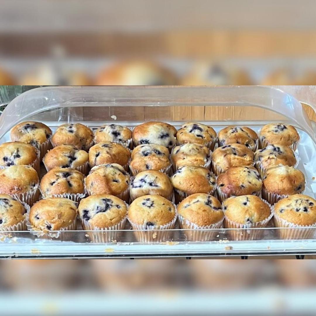 Tombstone Lookout Lodge SureStay Collection by Best Western Tombstone Lookout Lodge SureStay Collection by Best Western