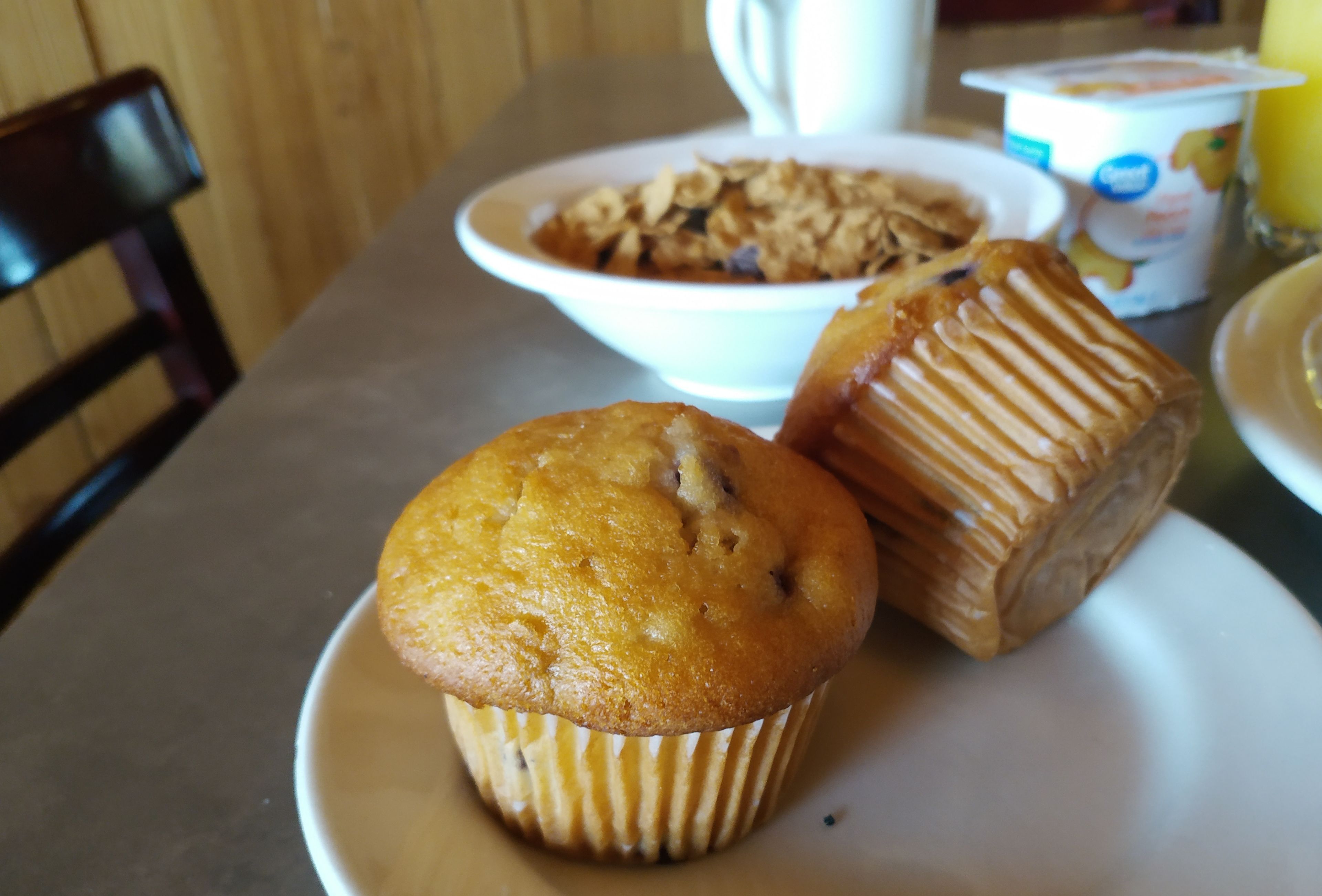 Tombstone Lookout Lodge SureStay Collection by Best Western Tombstone Lookout Lodge SureStay Collection by Best Western