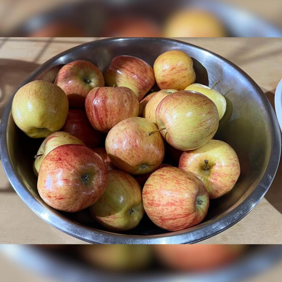 Tombstone Lookout Lodge SureStay Collection by Best Western Tombstone Lookout Lodge SureStay Collection by Best Western