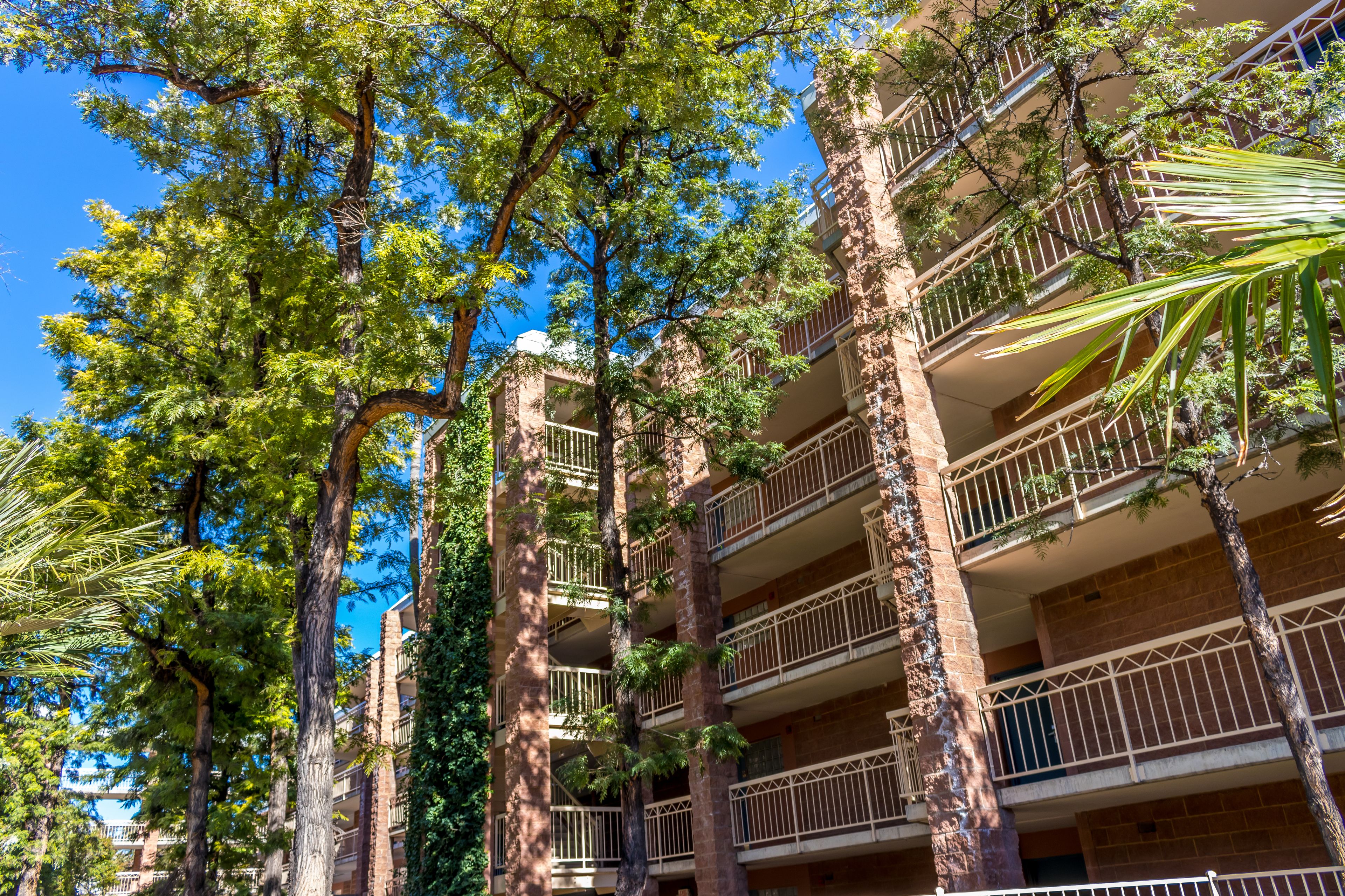 Embassy Suites by Hilton Tucson East Embassy Suites by Hilton Tucson East