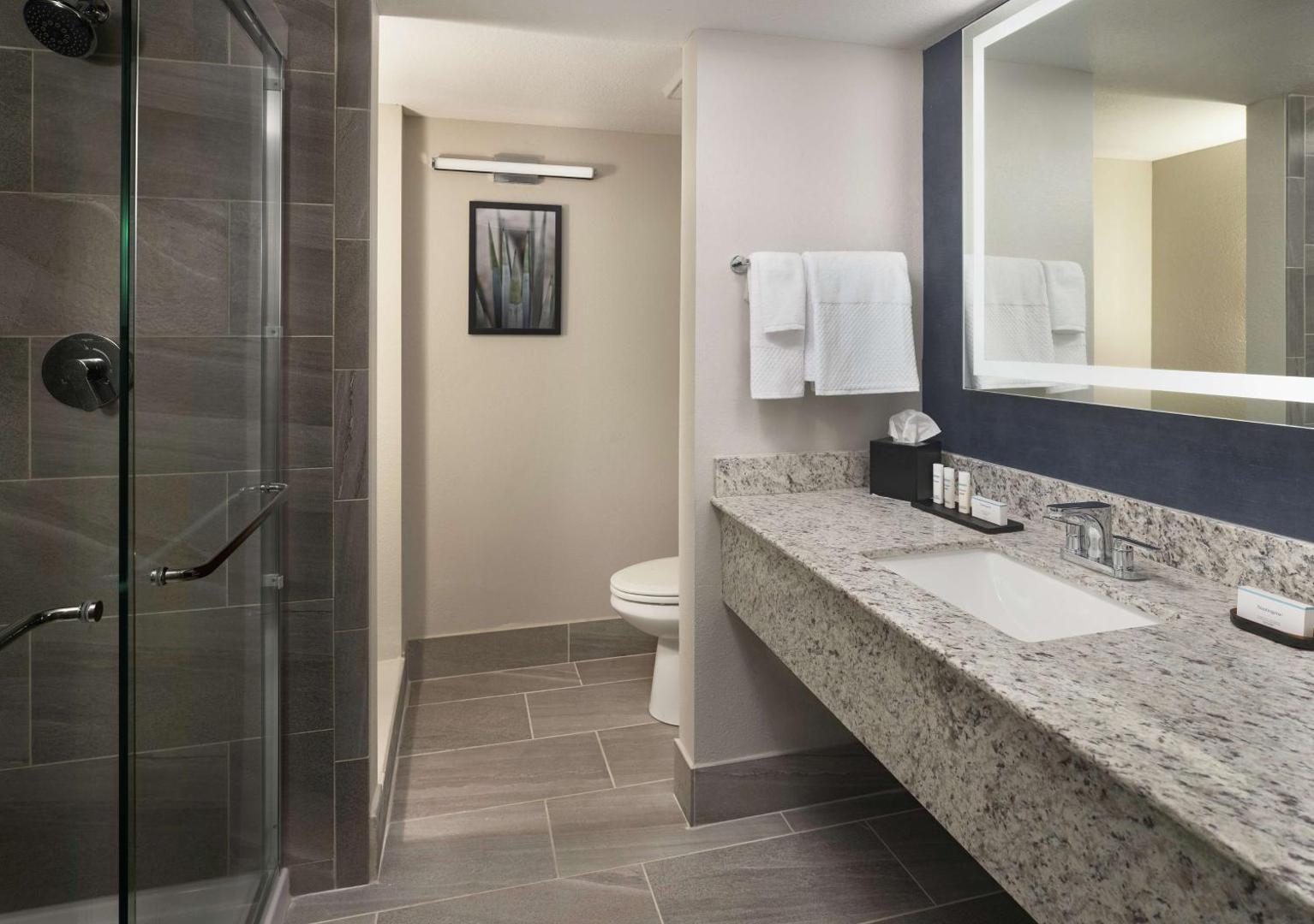 Embassy Suites by Hilton Tucson East Embassy Suites by Hilton Tucson East