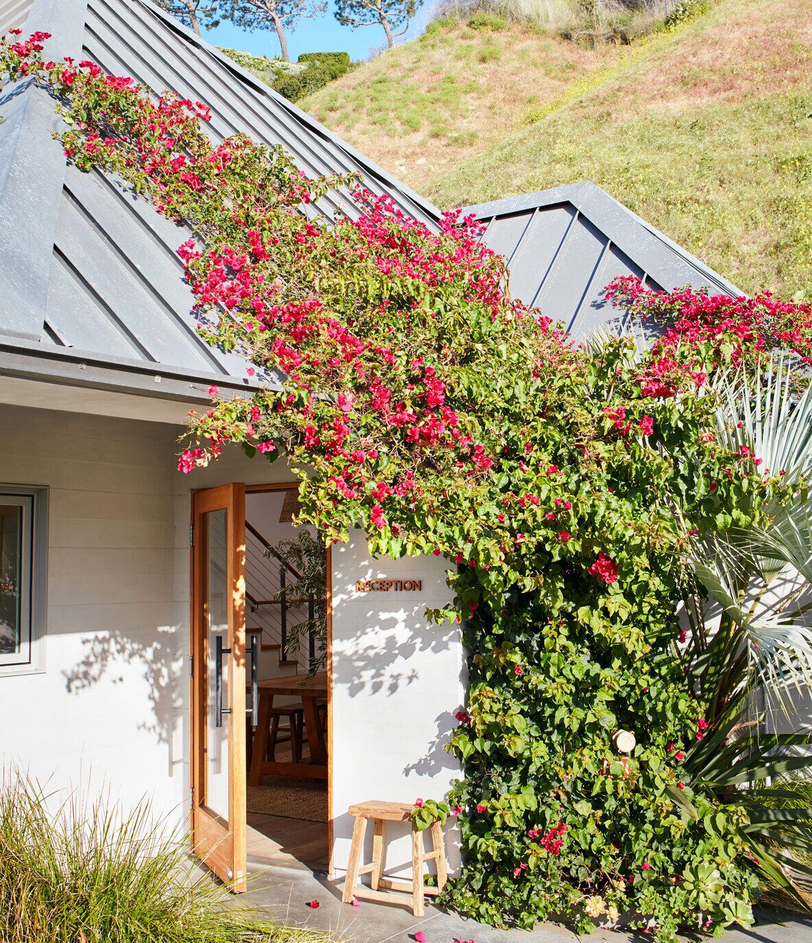 The Surfrider Malibu The Surfrider Malibu