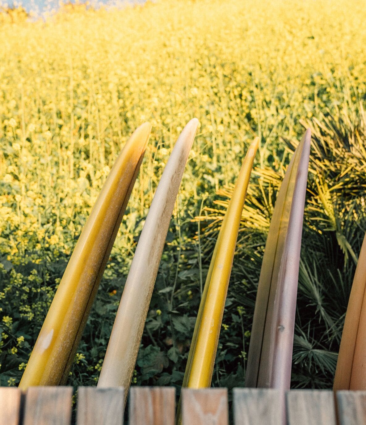 The Surfrider Malibu The Surfrider Malibu